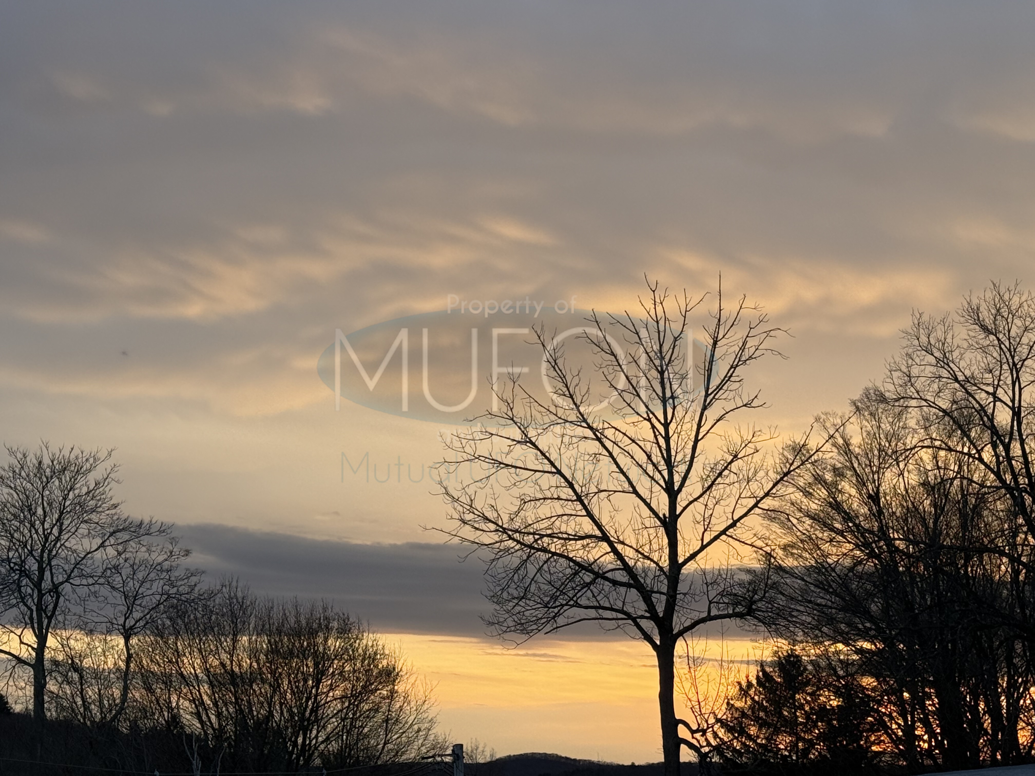 Image from report MUFON_141925
