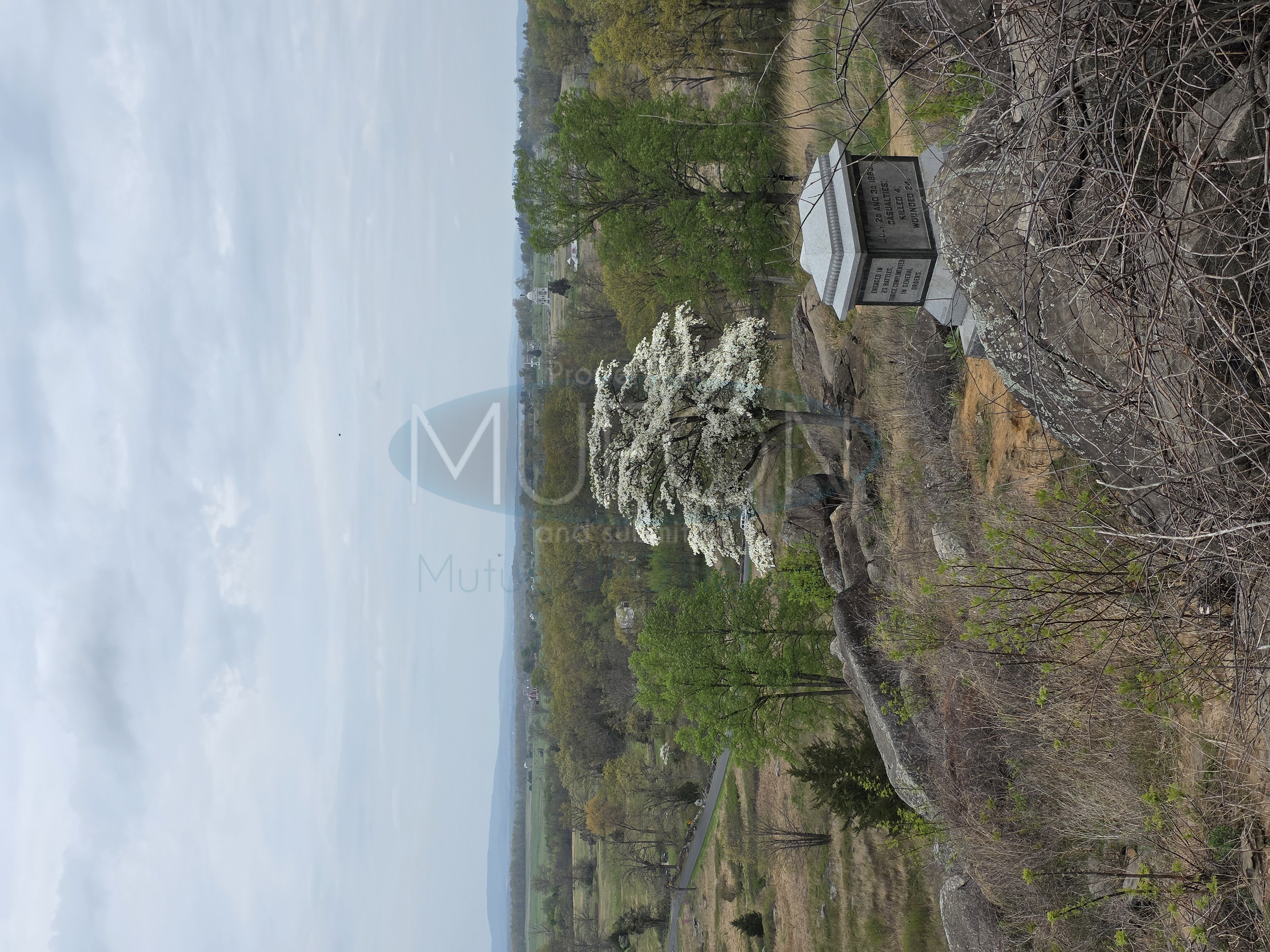 Image from report MUFON_142000