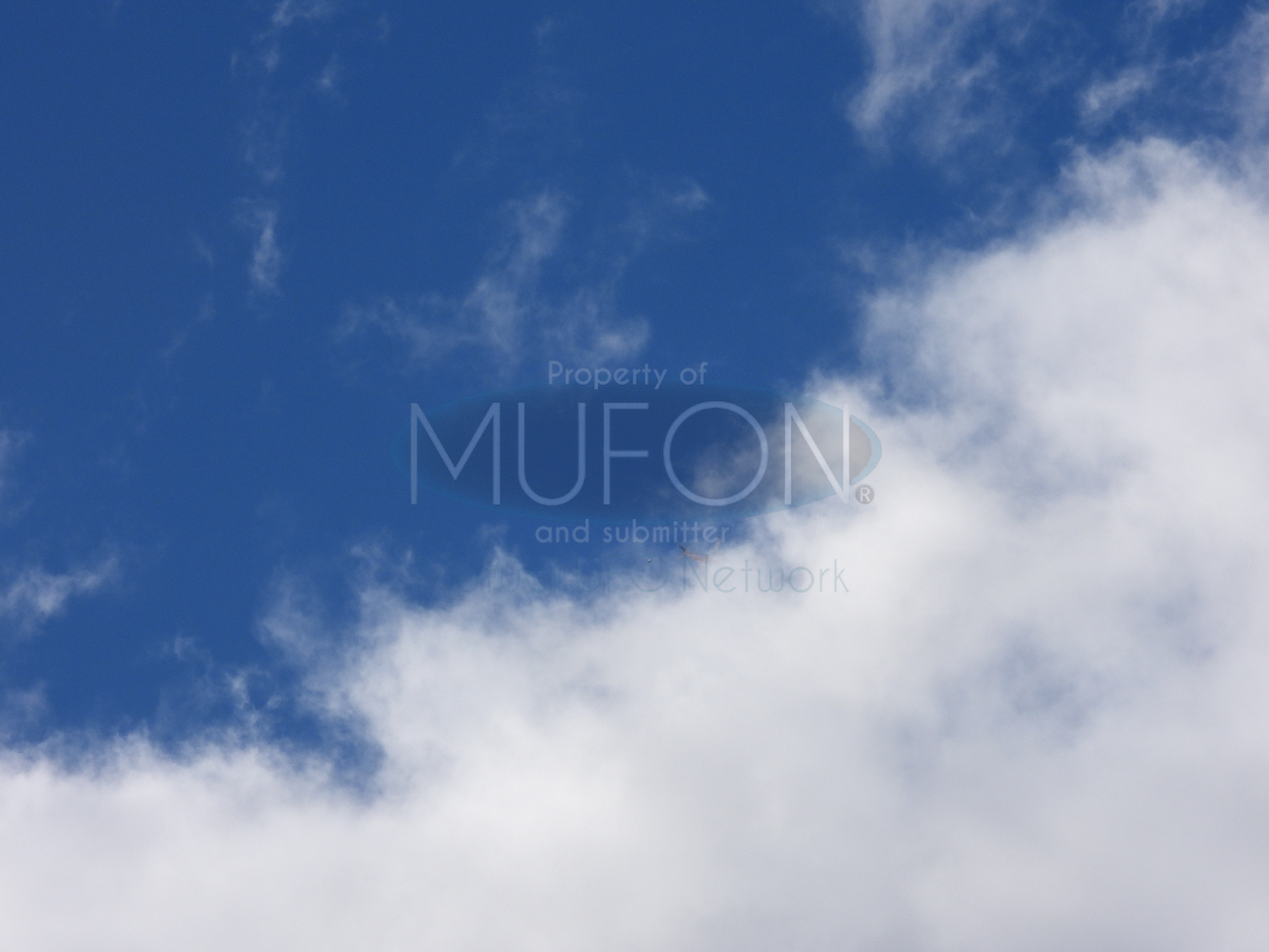 Image from report MUFON_142052