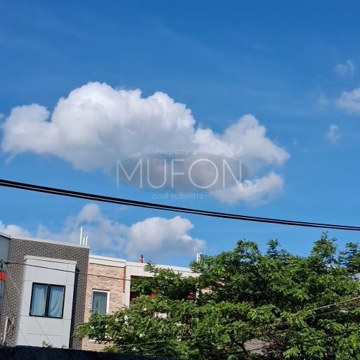 Image from report MUFON_142136