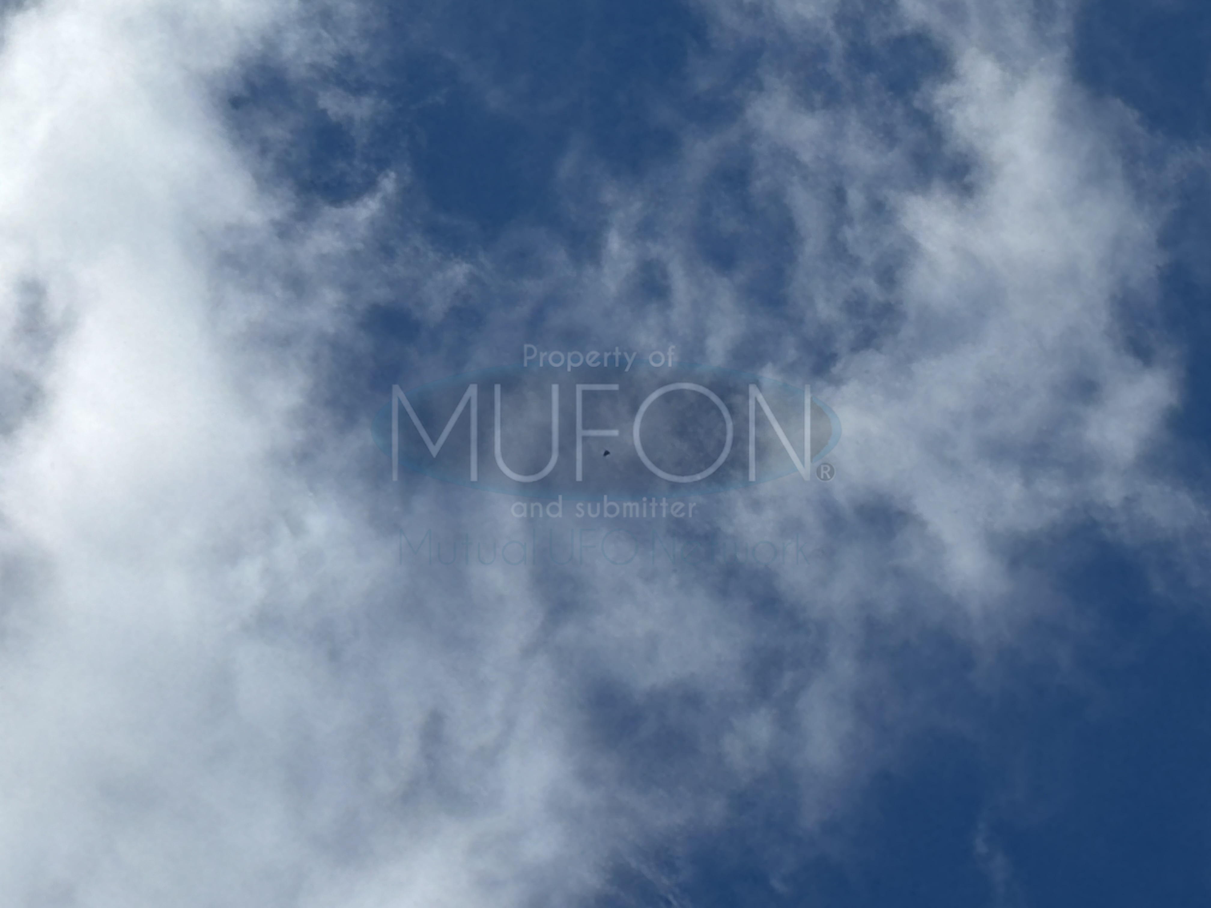 Image from report MUFON_142222