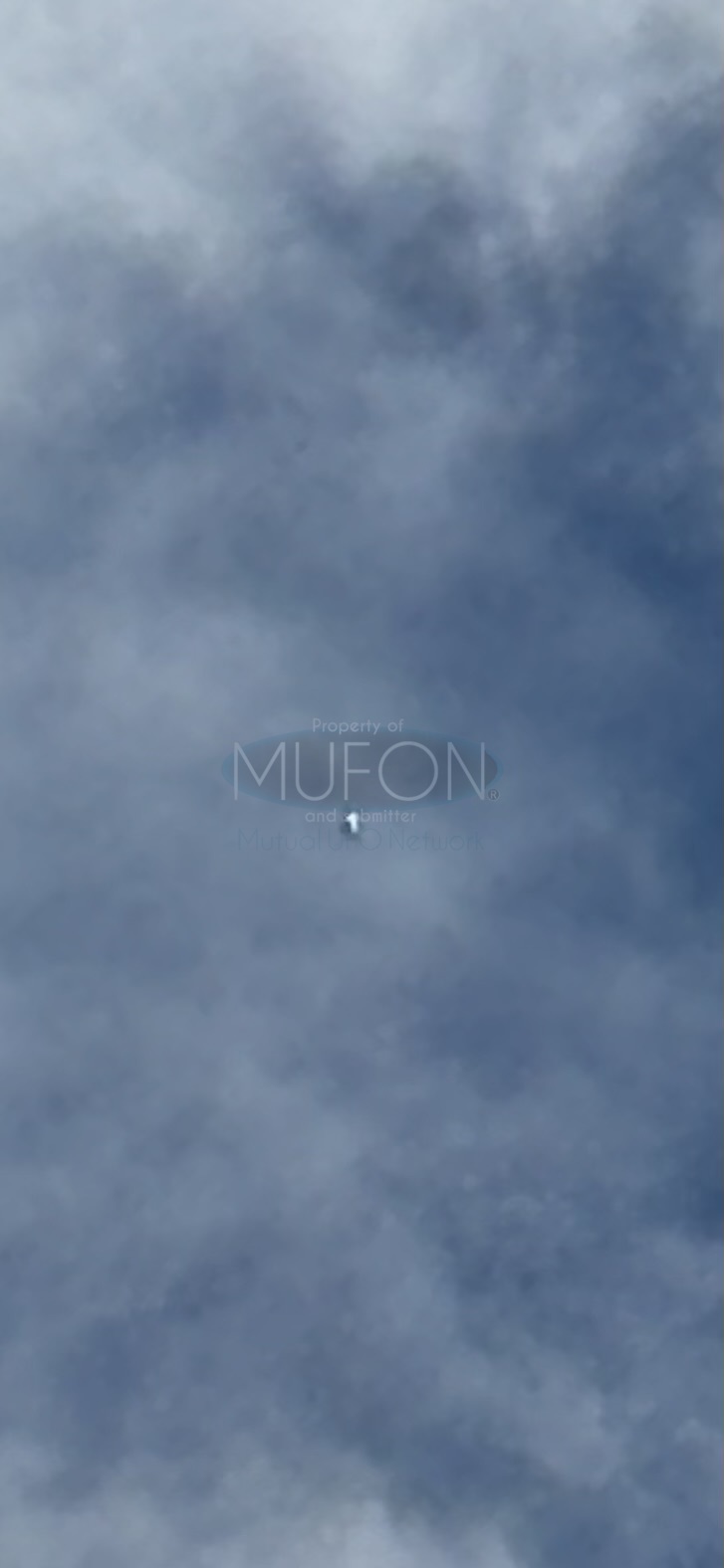 Image from report MUFON_142222