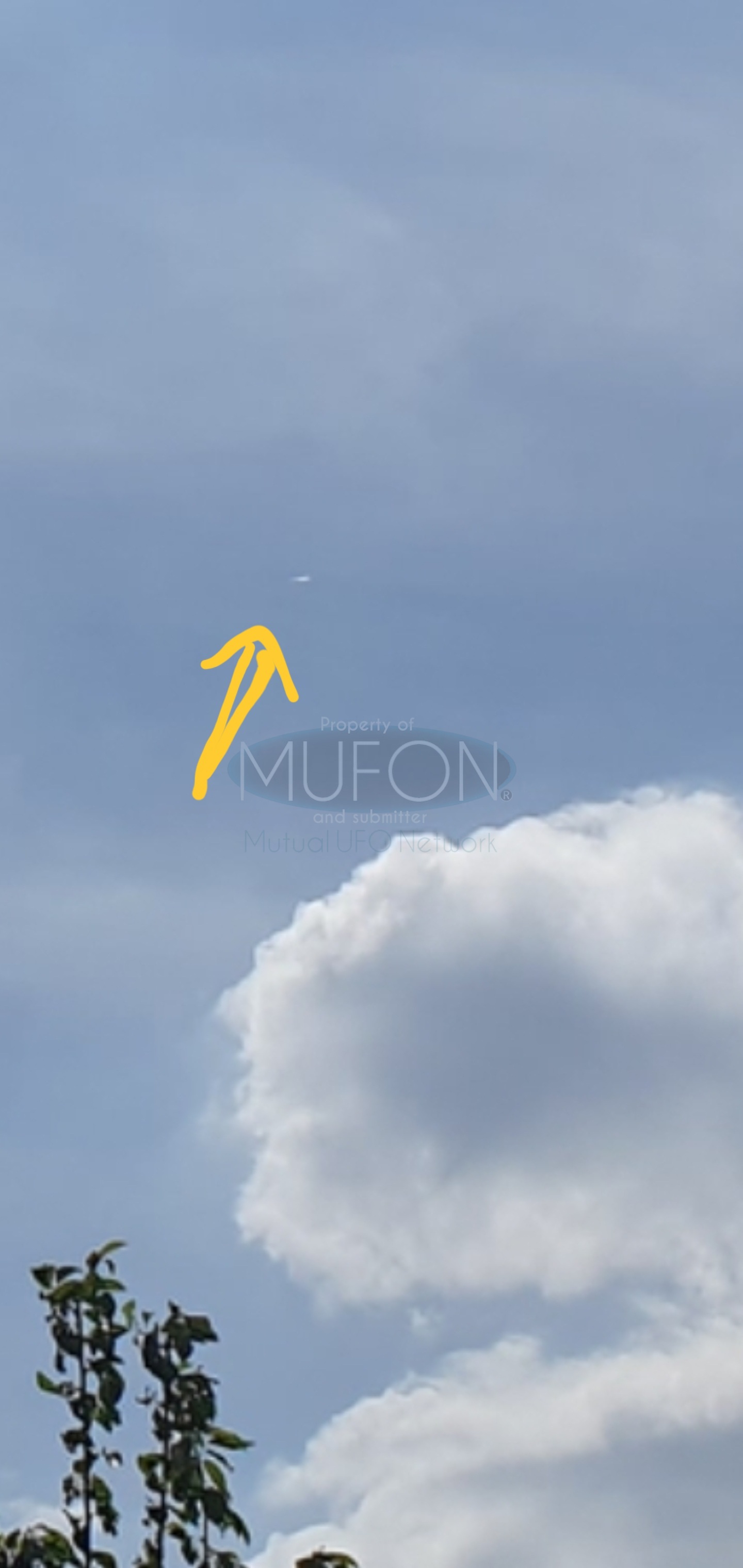 Image from report MUFON_142318