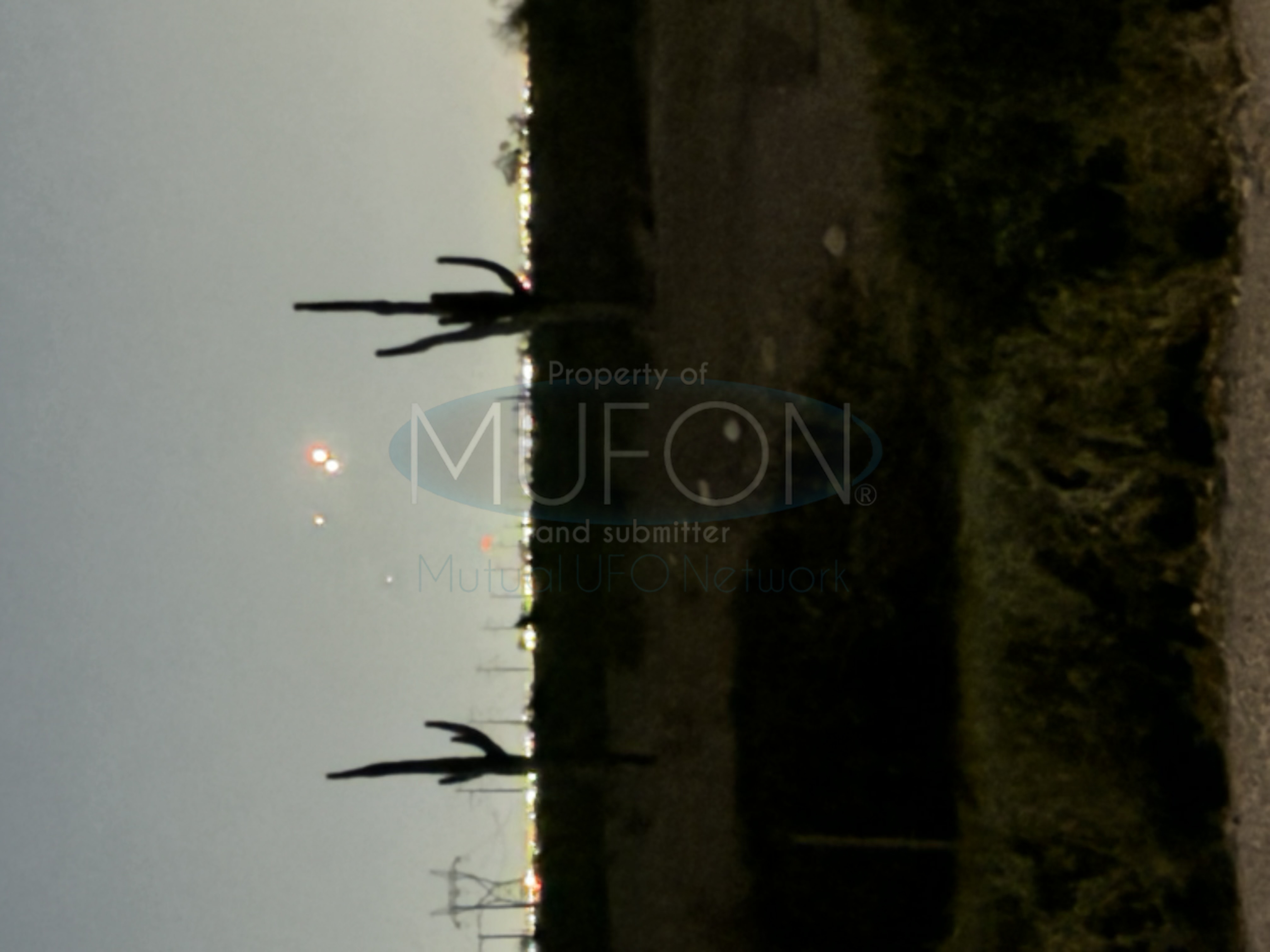 Image from report MUFON_142376