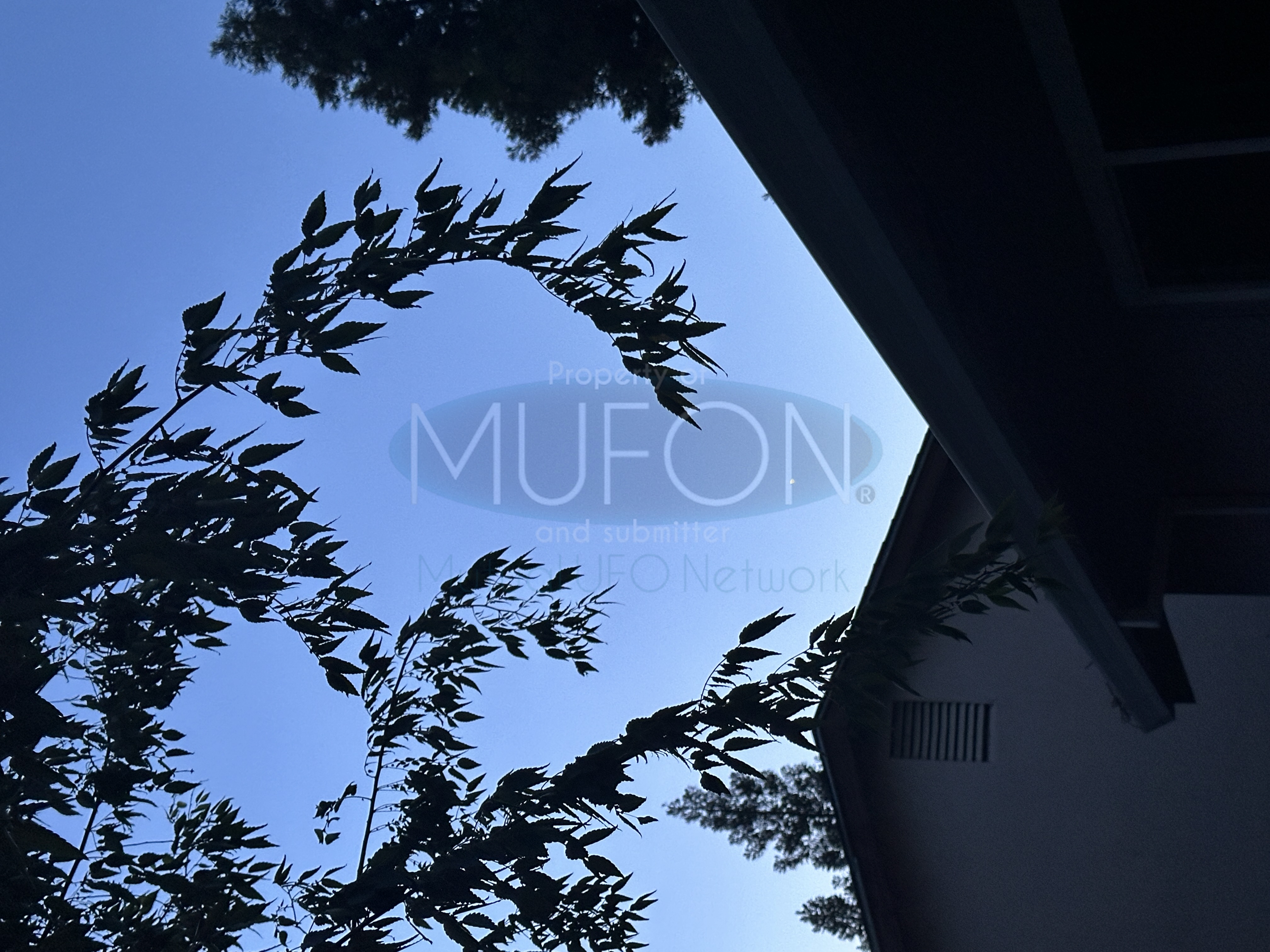Image from report MUFON_142417