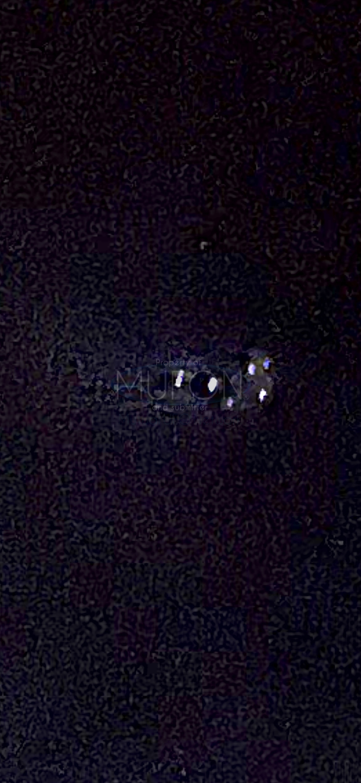 Image from report MUFON_142449