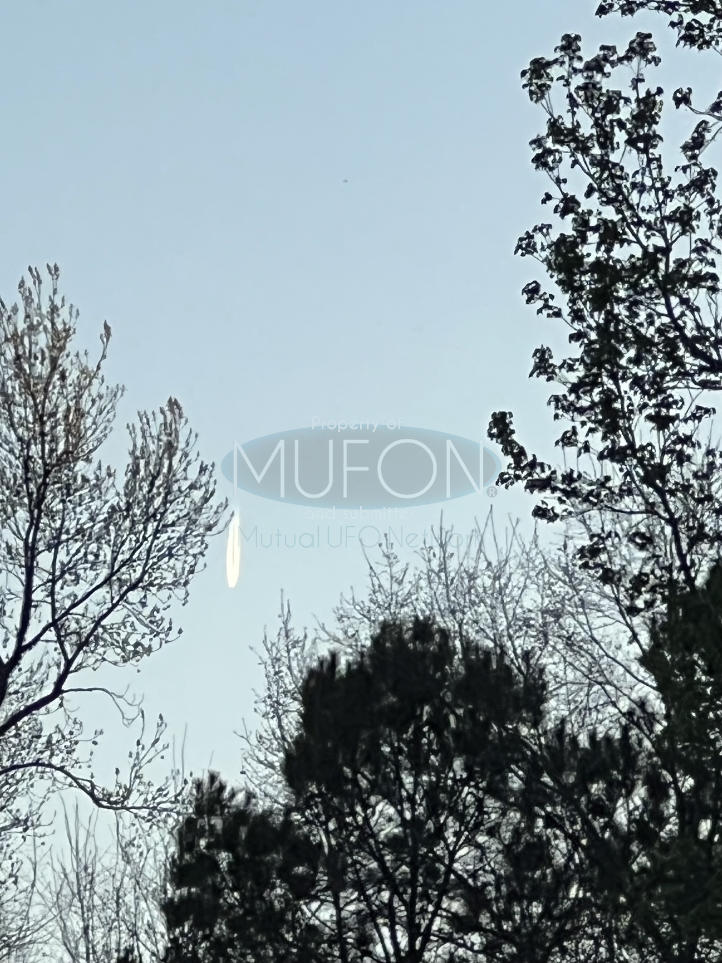 Image from report MUFON_142459