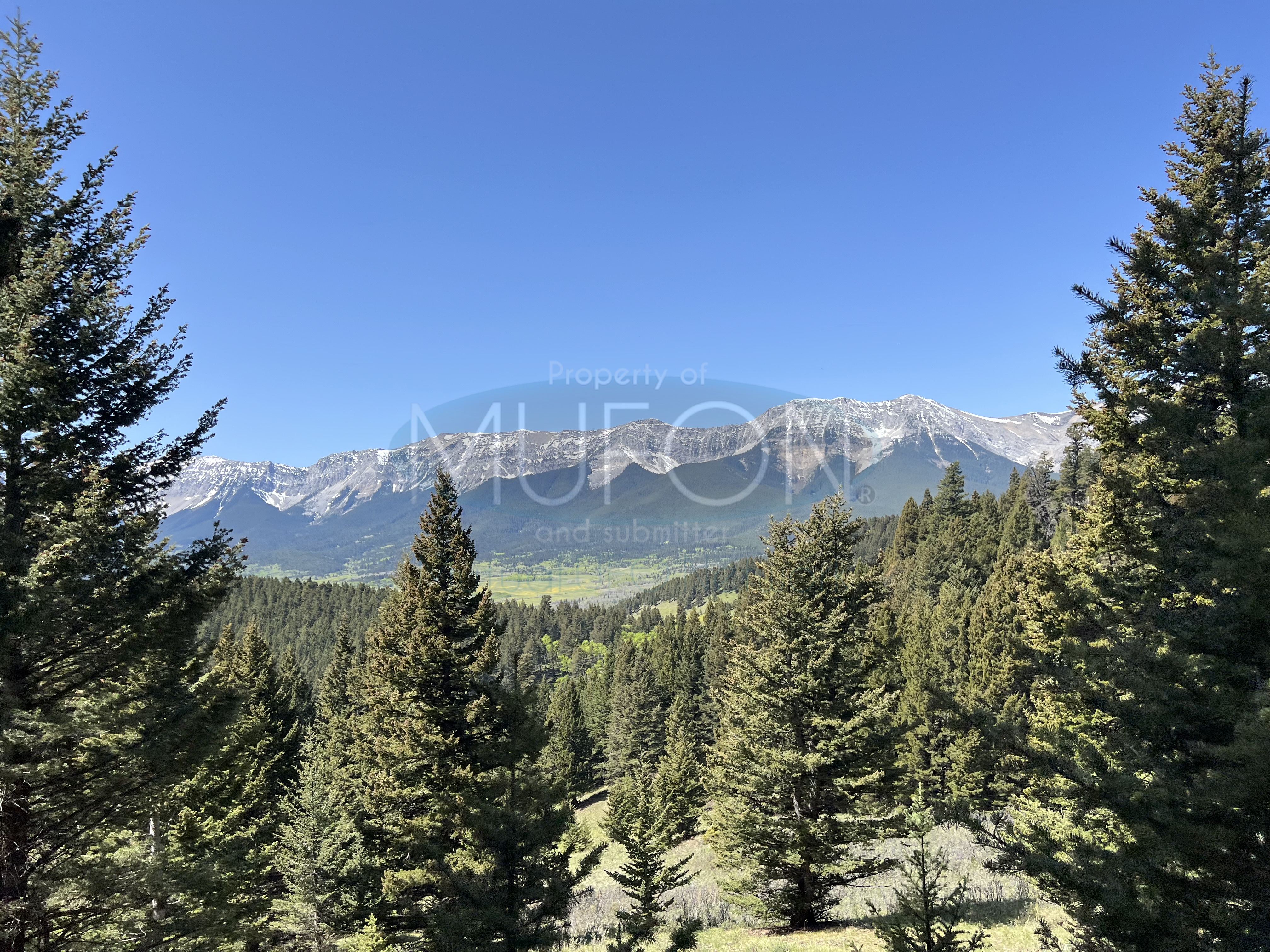 Image from report MUFON_142498