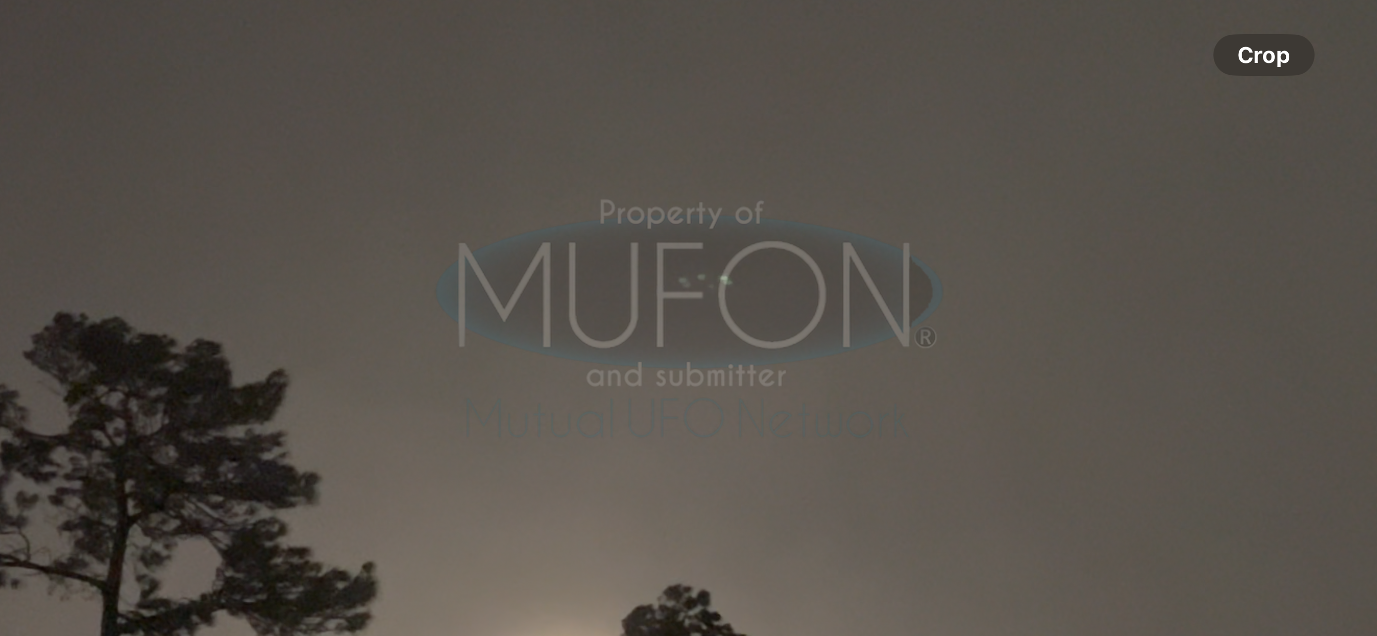 Image from report MUFON_142520