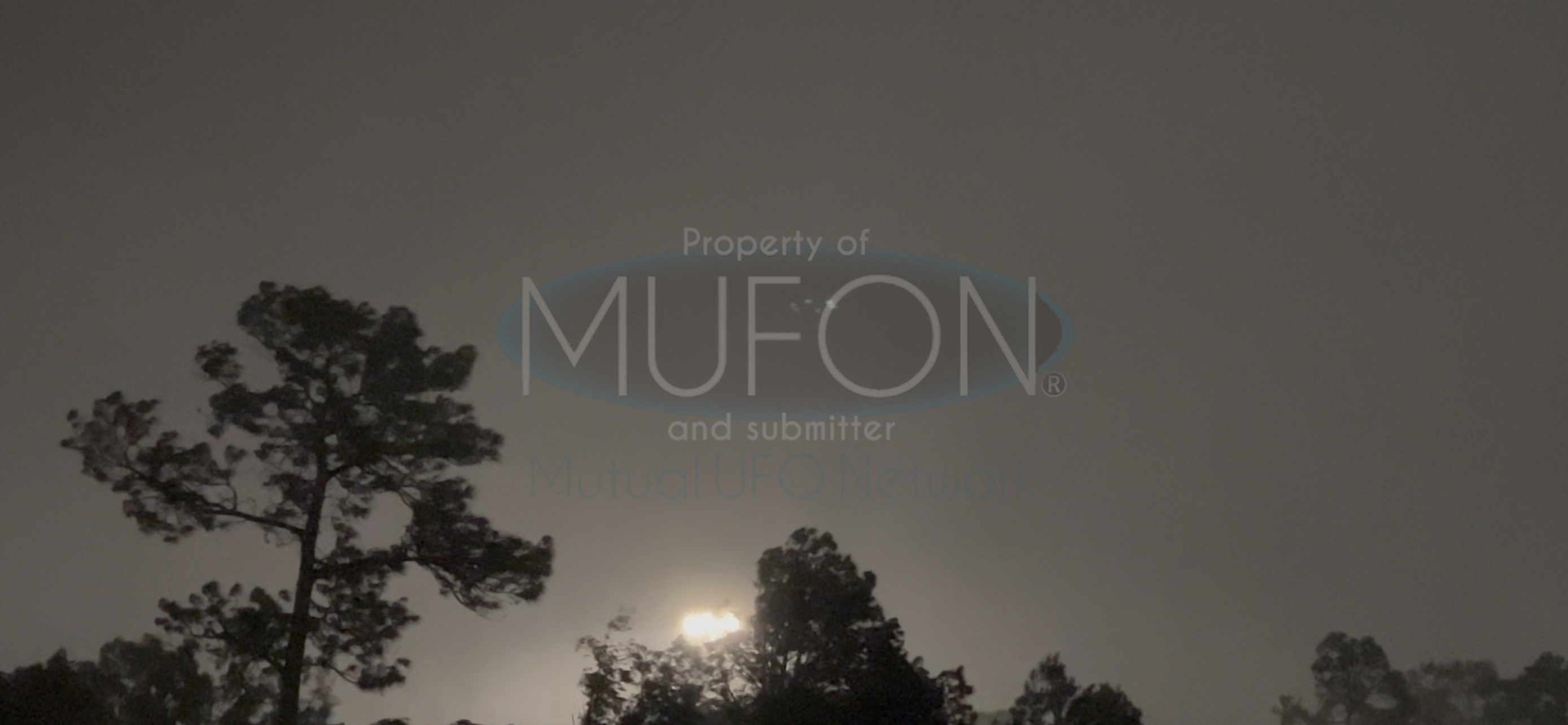 Image from report MUFON_142520