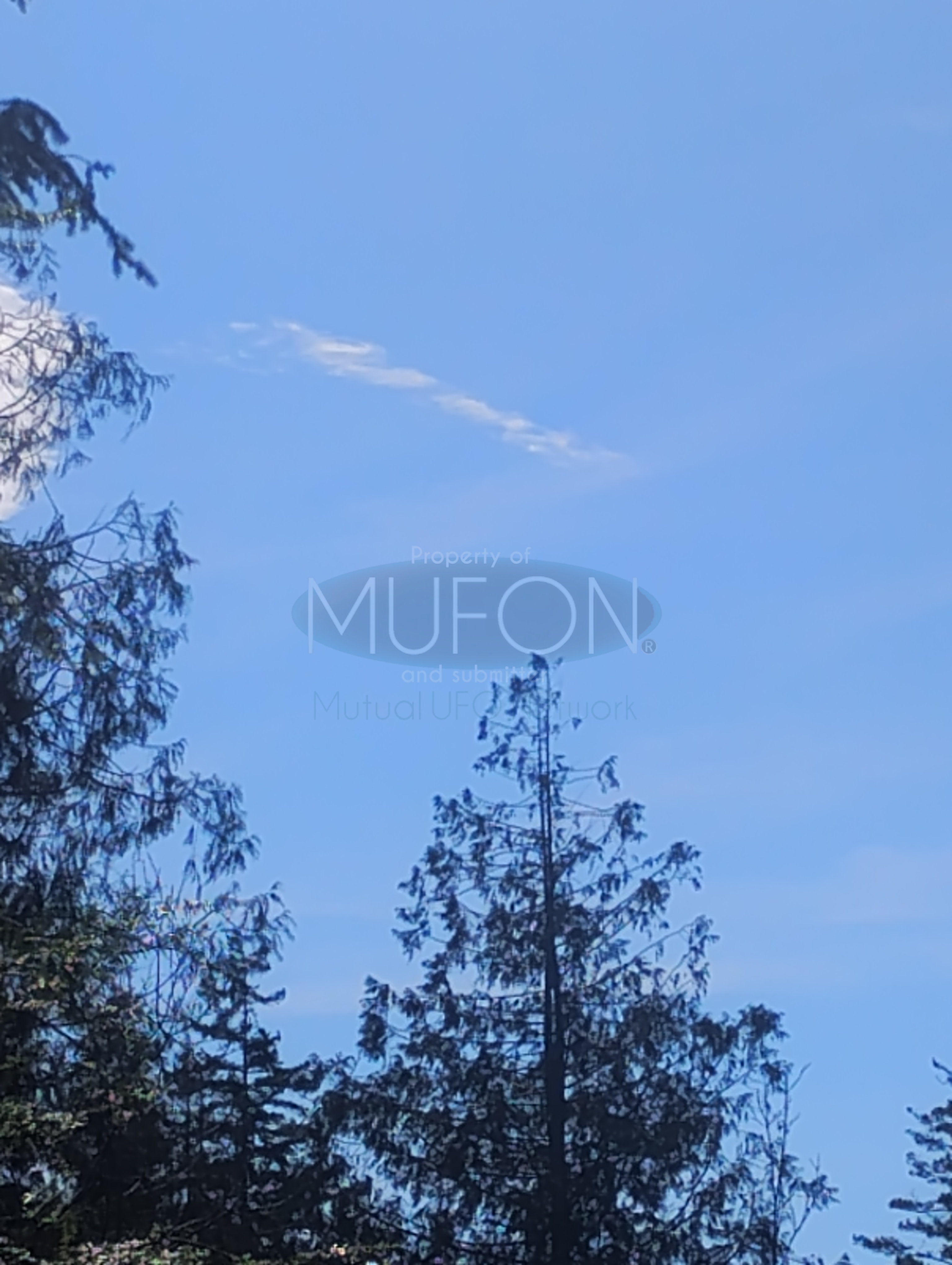 Image from report MUFON_142599