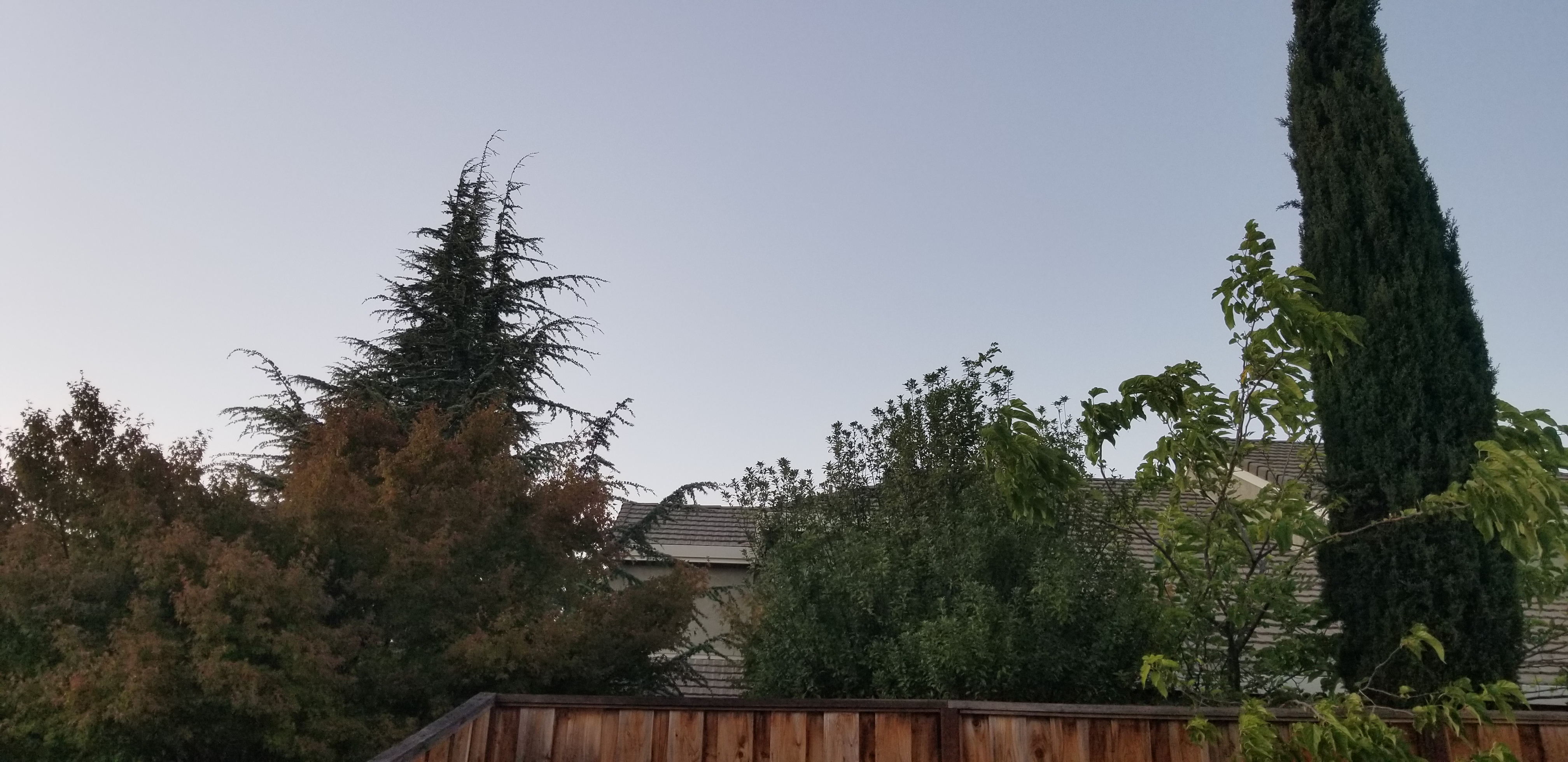 Image from report NUFORC_165745