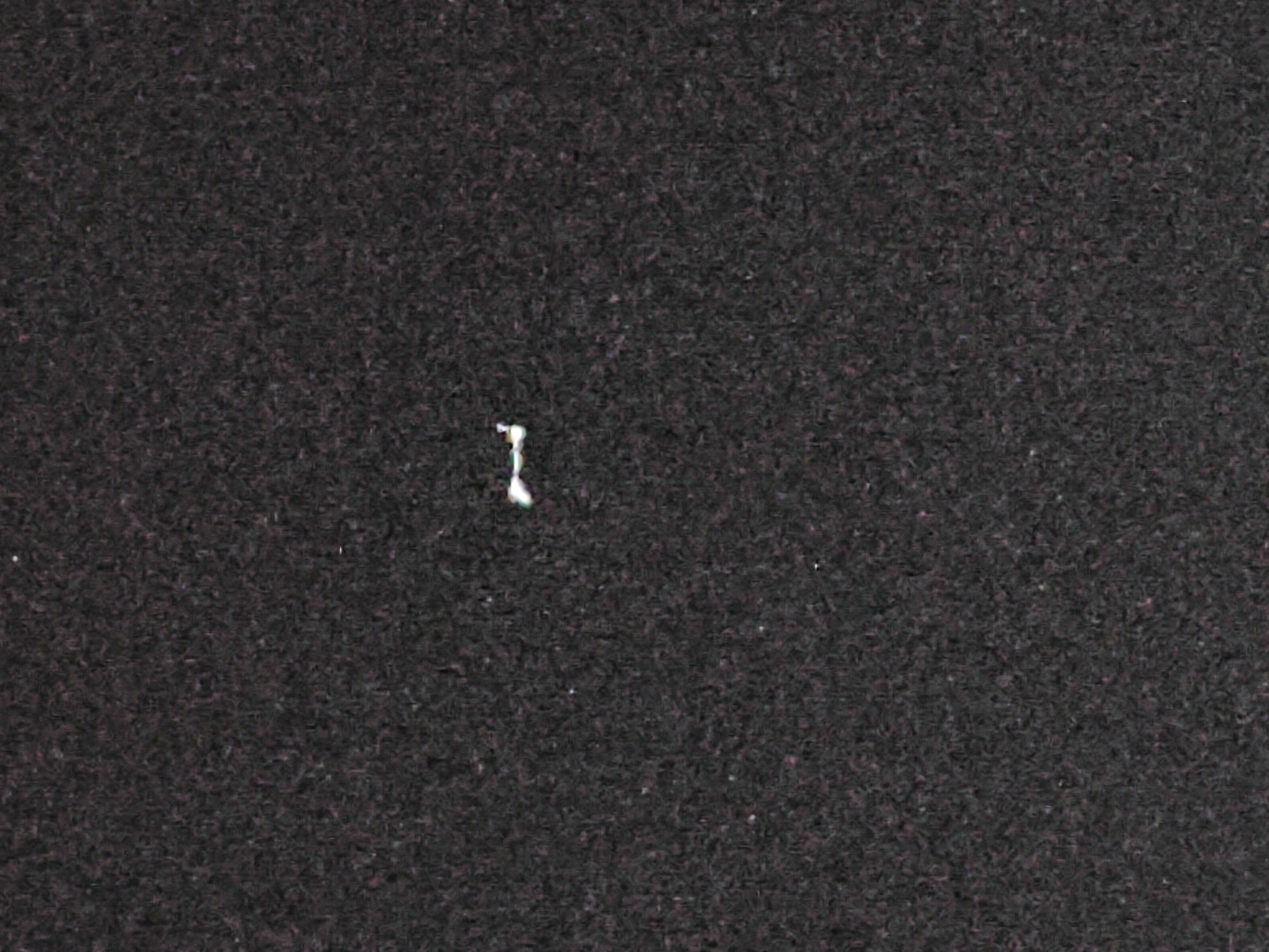 Image from report NUFORC_166626