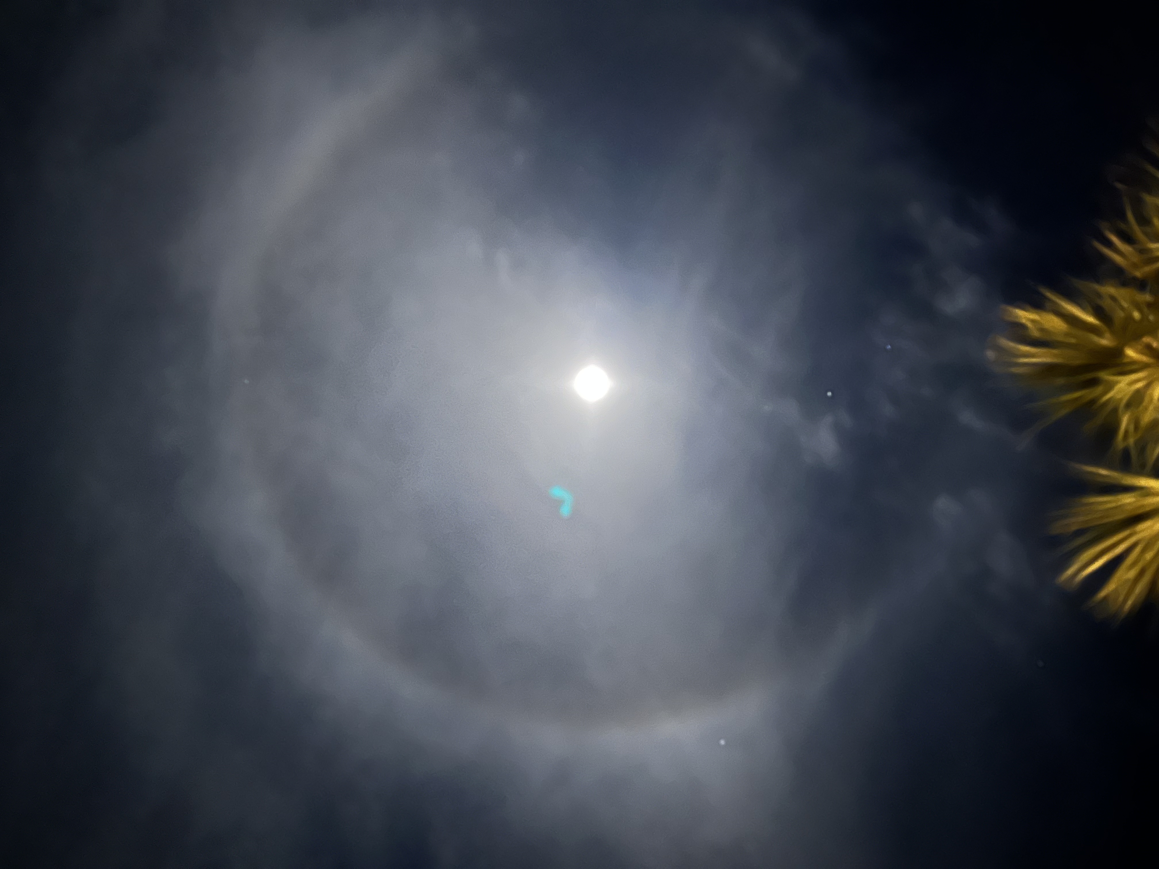 Image from report NUFORC_166696