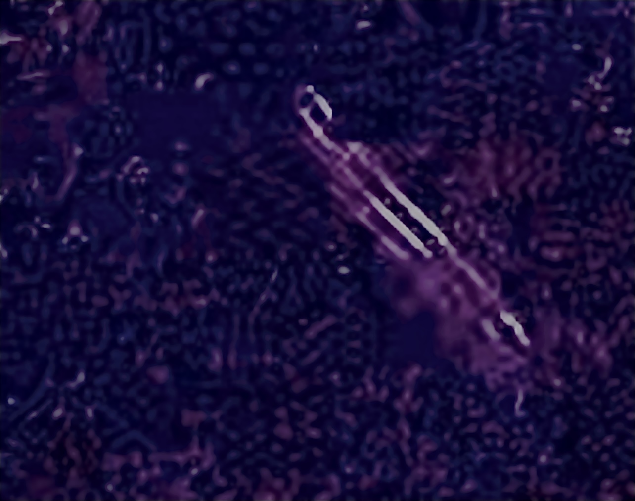 Image from report NUFORC_167116