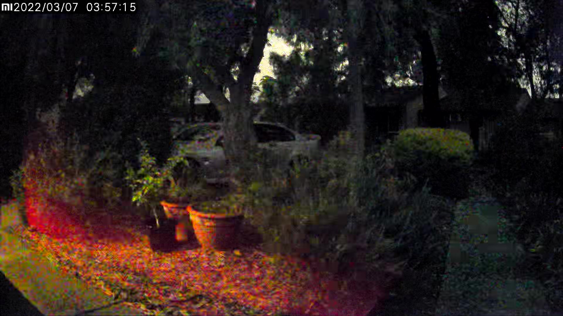 Image from report NUFORC_167451