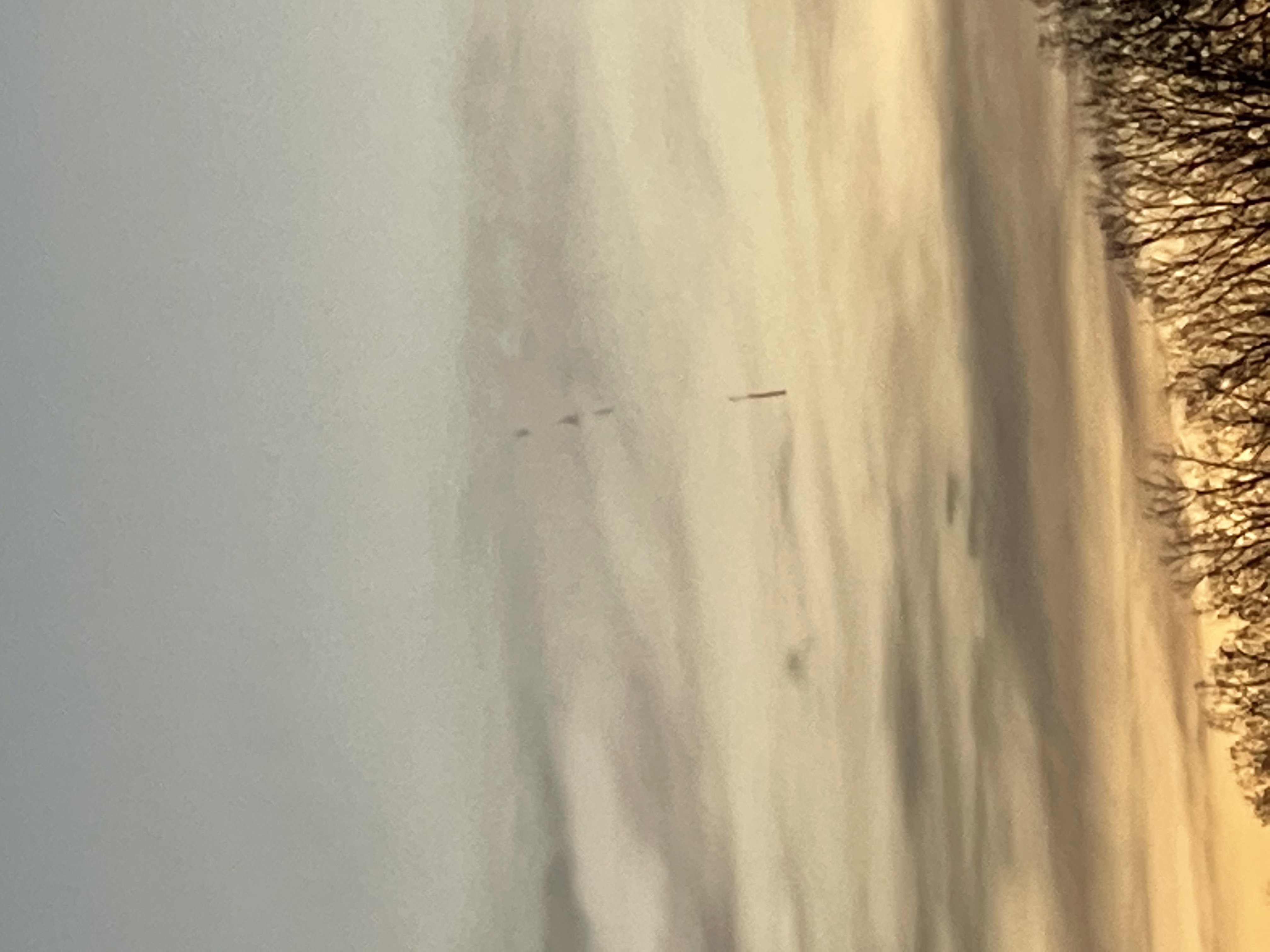 Image from report NUFORC_167495