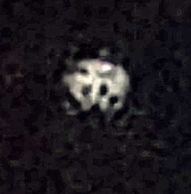 Image from report NUFORC_167542