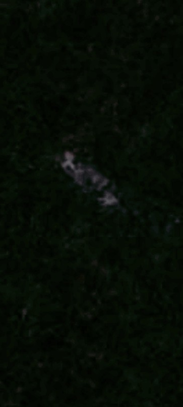 Image from report NUFORC_167542