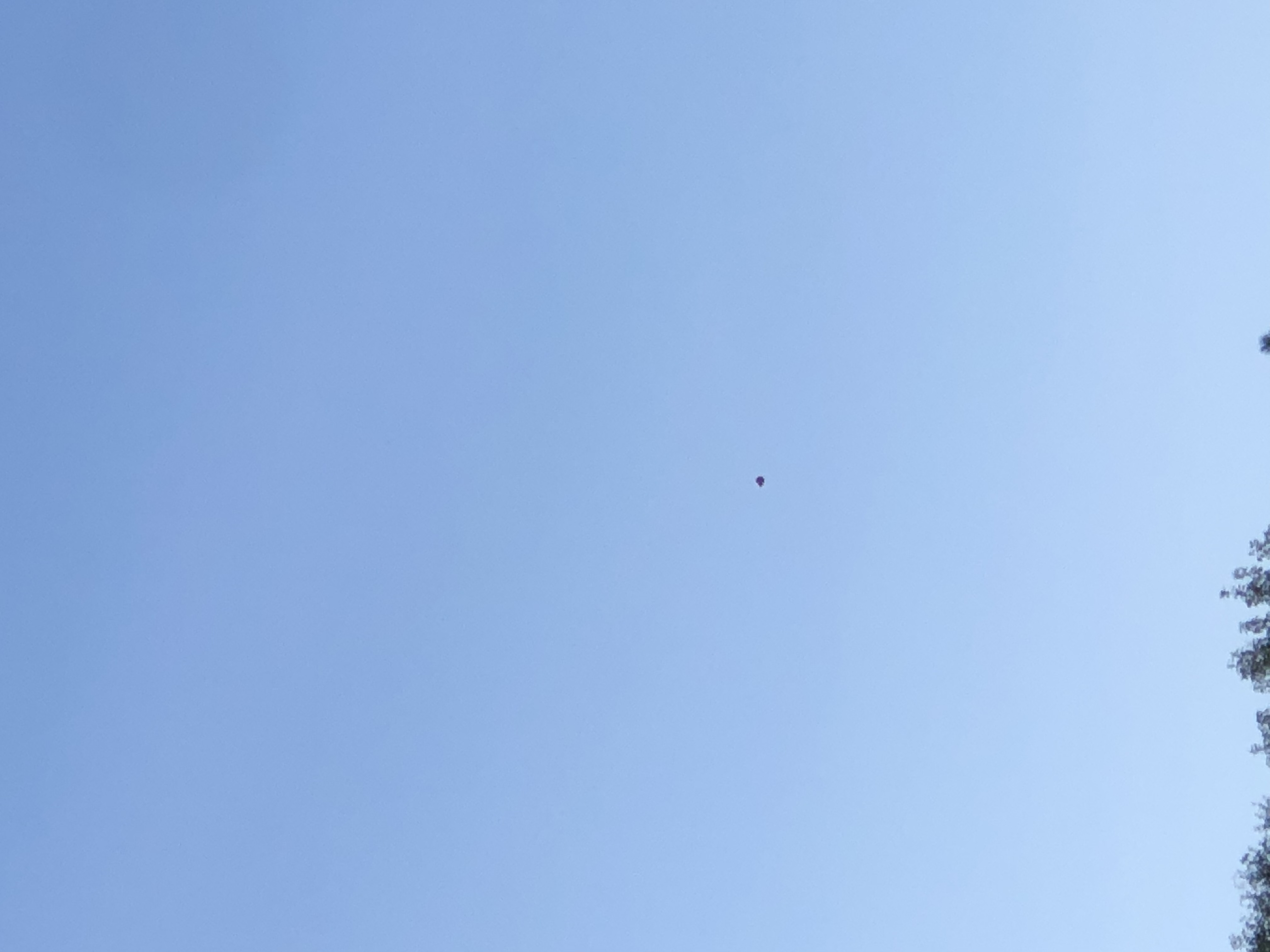 Image from report NUFORC_167717