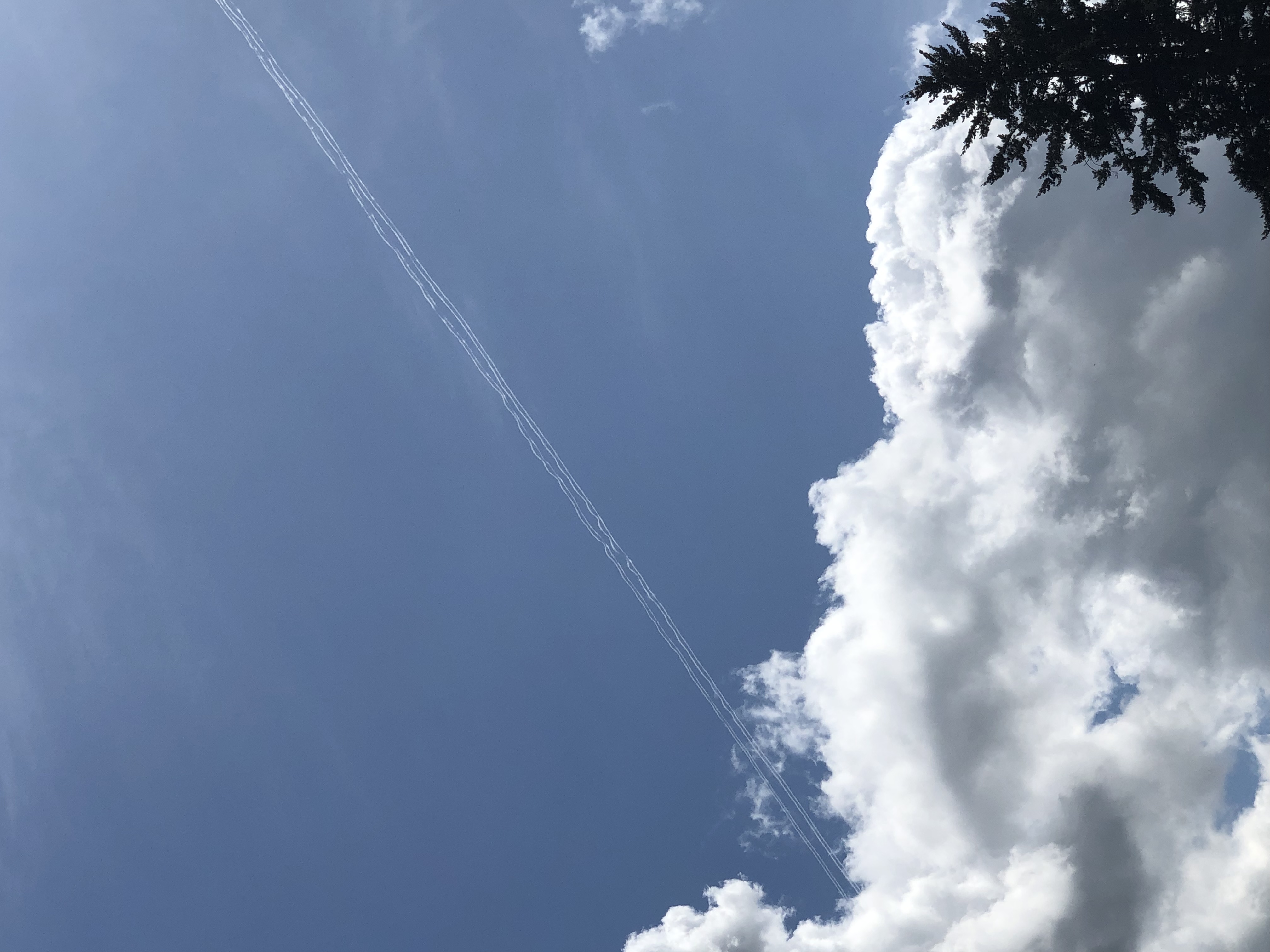 Image from report NUFORC_167842