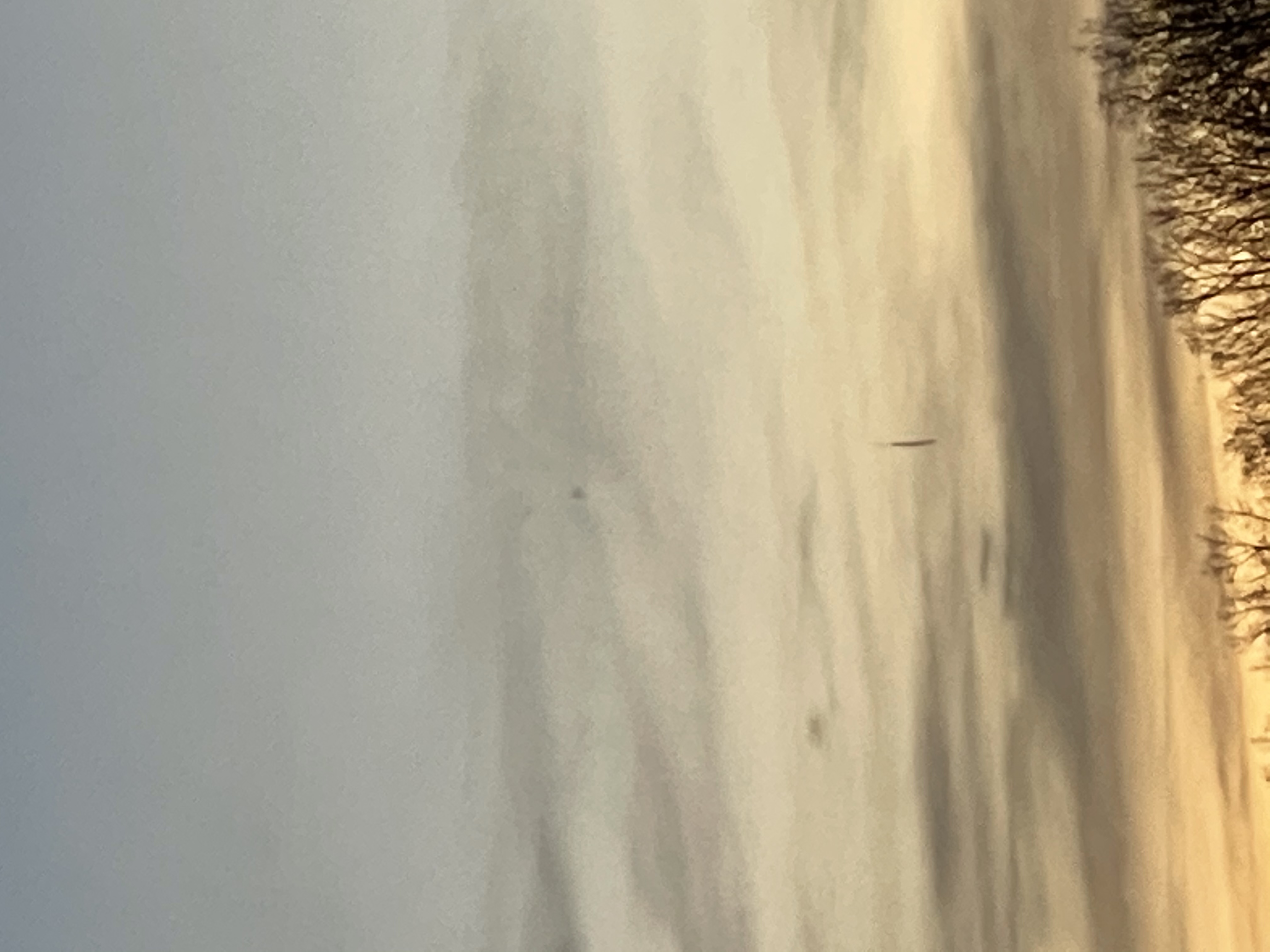 Image from report NUFORC_168091
