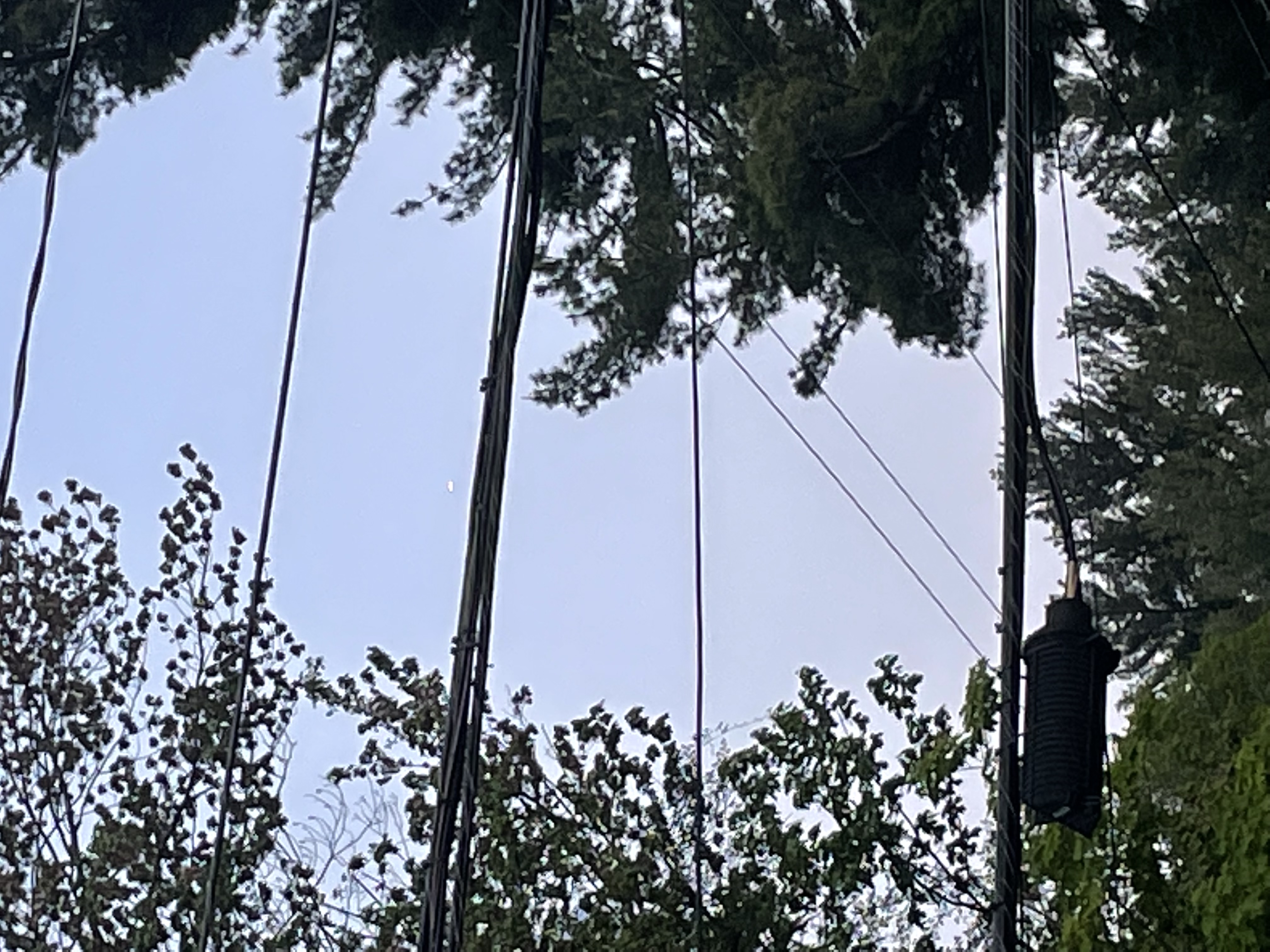 Image from report NUFORC_168210