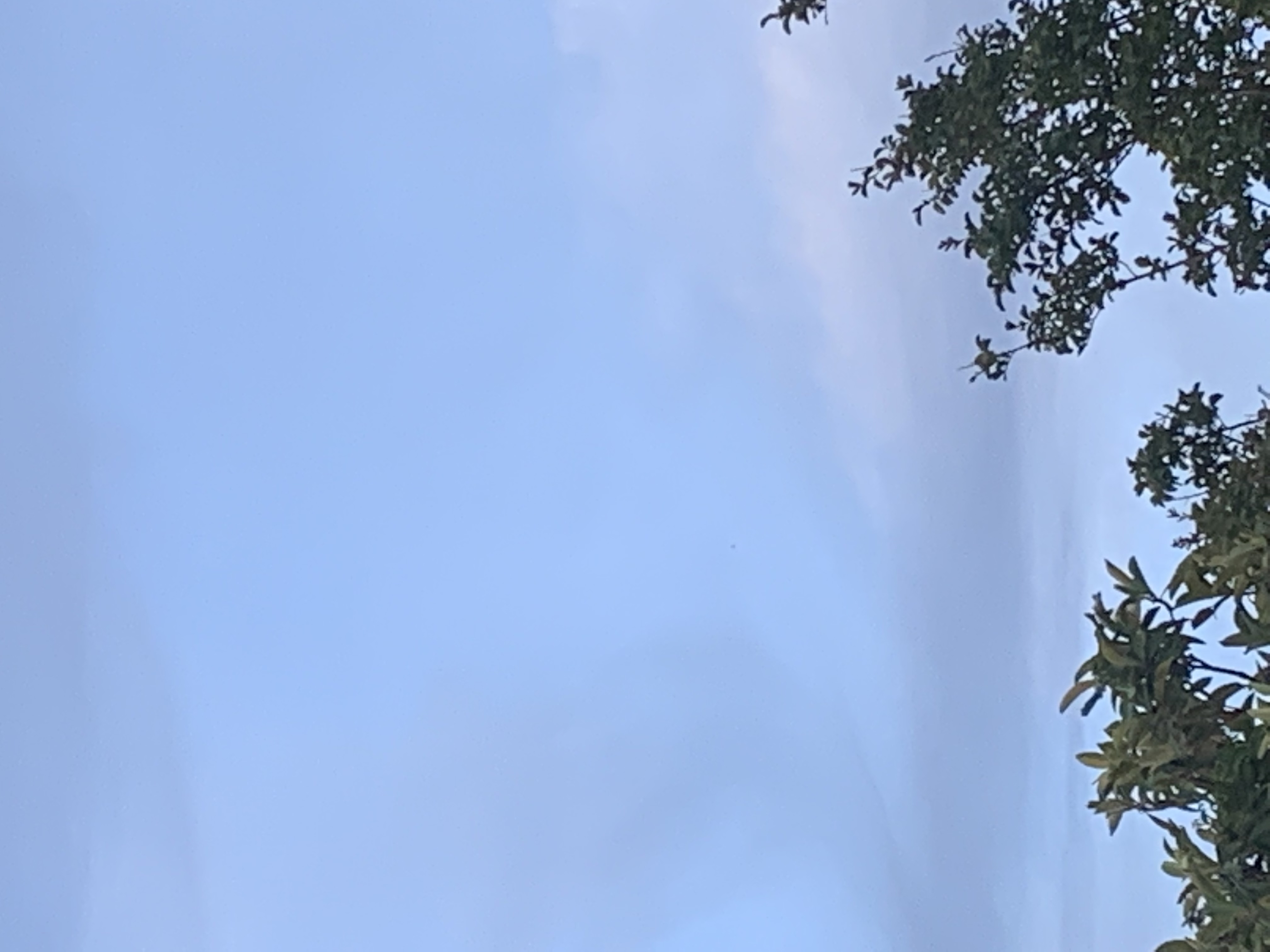 Image from report NUFORC_168587