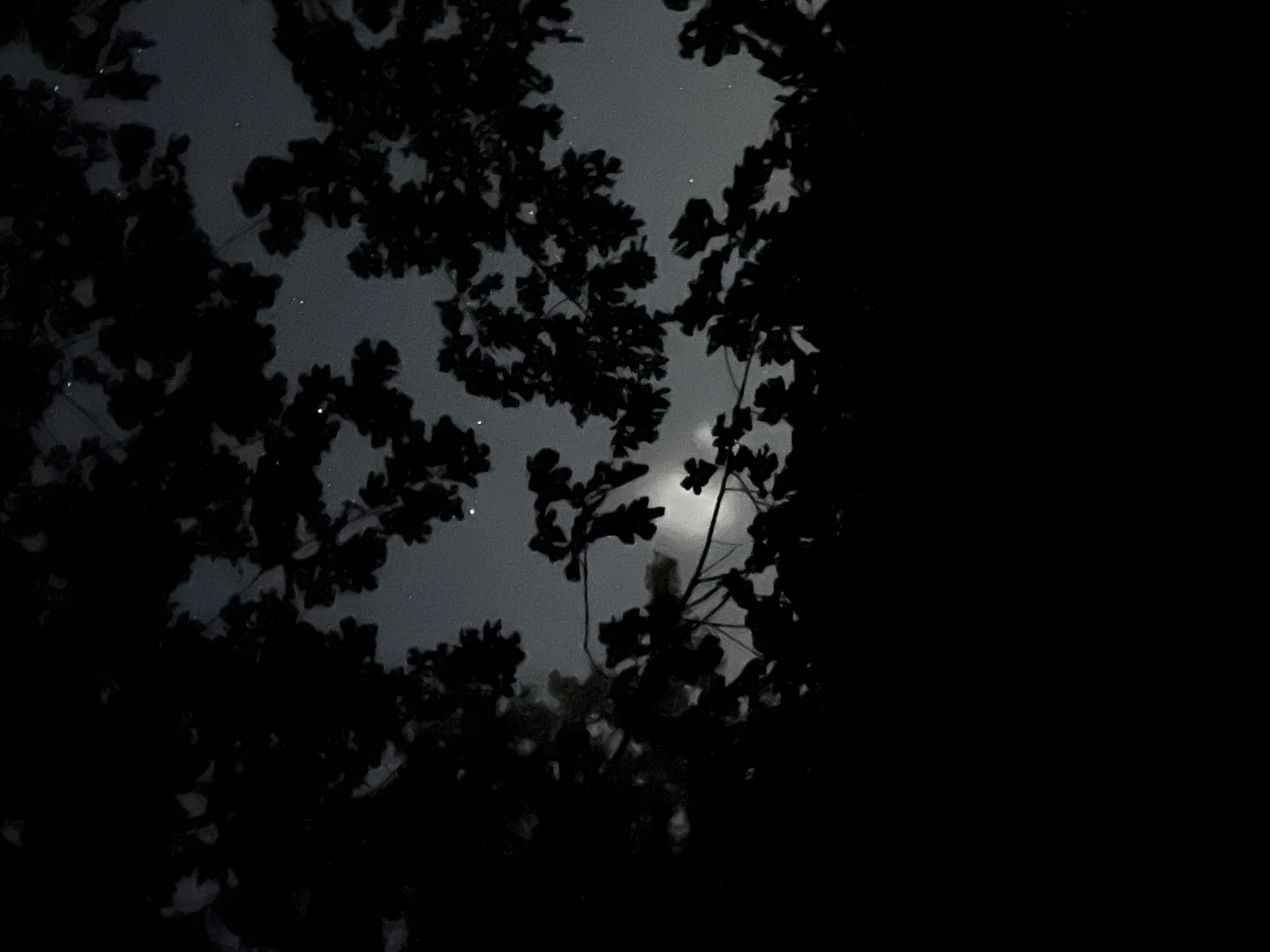 Image from report NUFORC_168773