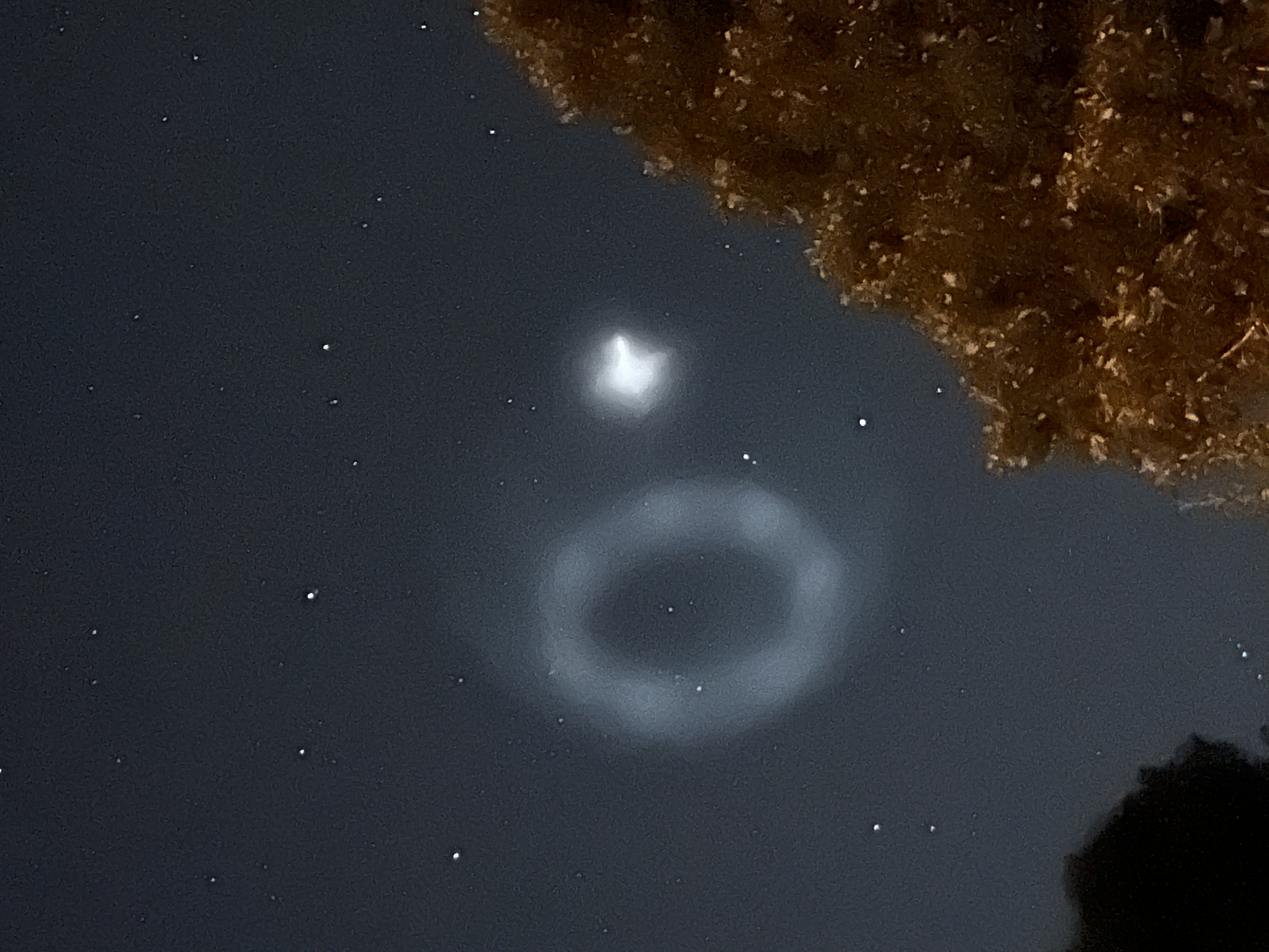 Image from report NUFORC_168773