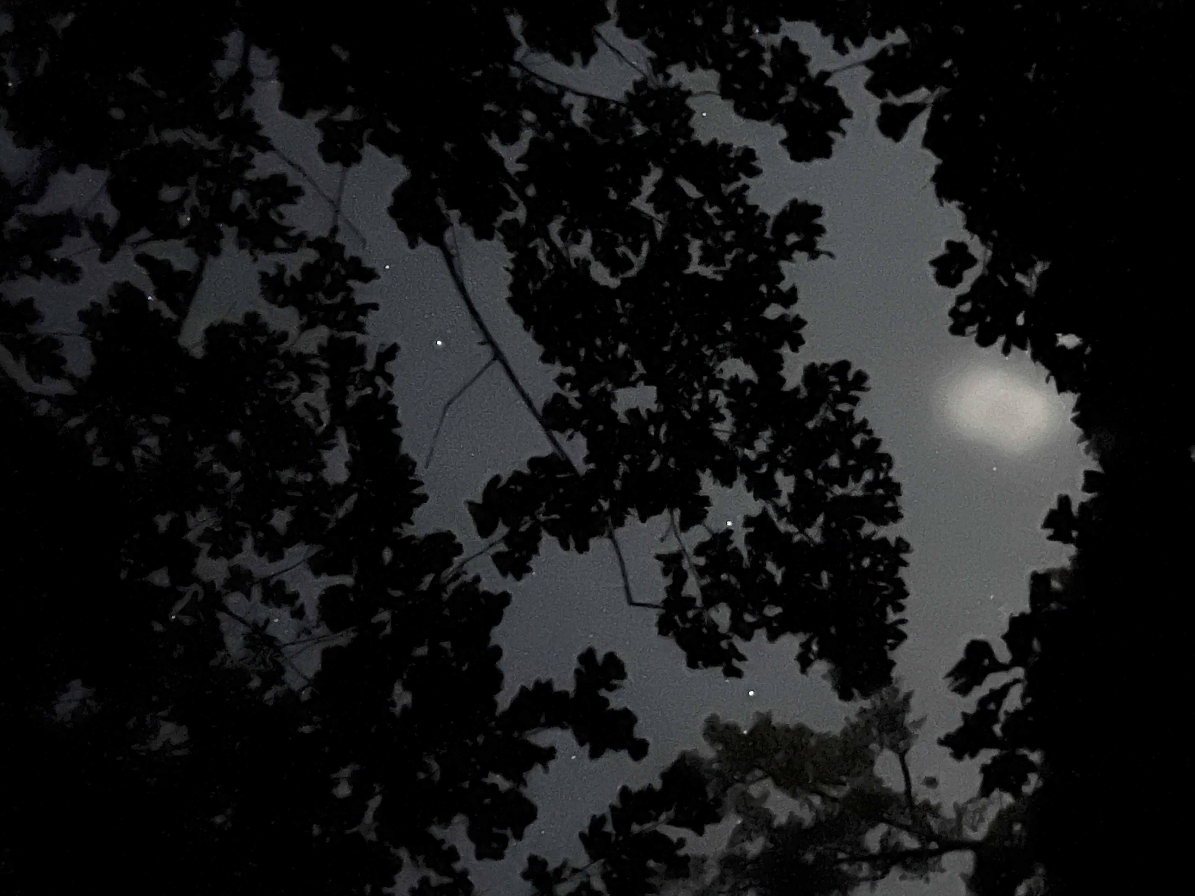 Image from report NUFORC_168773