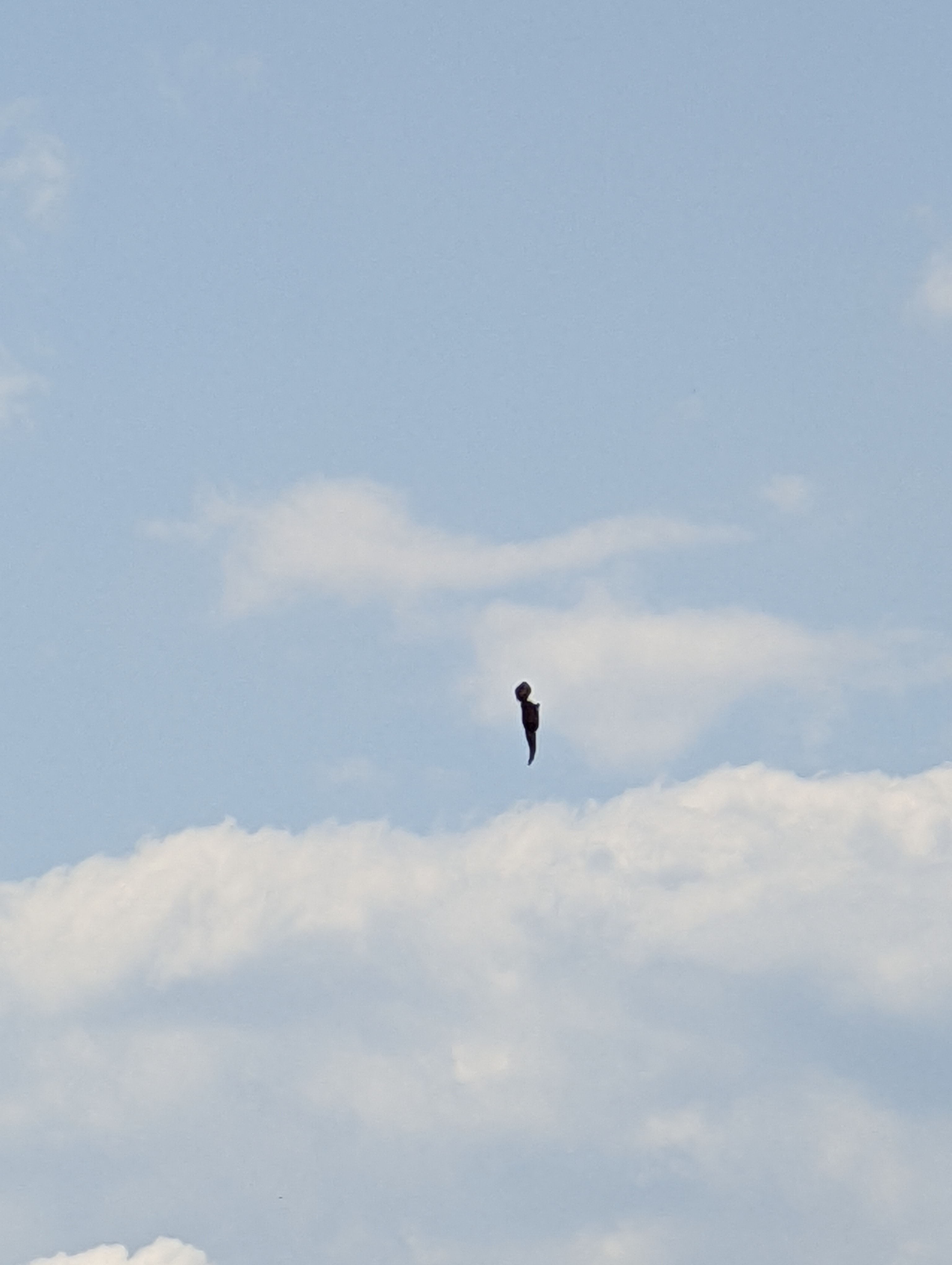 Image from report NUFORC_170393