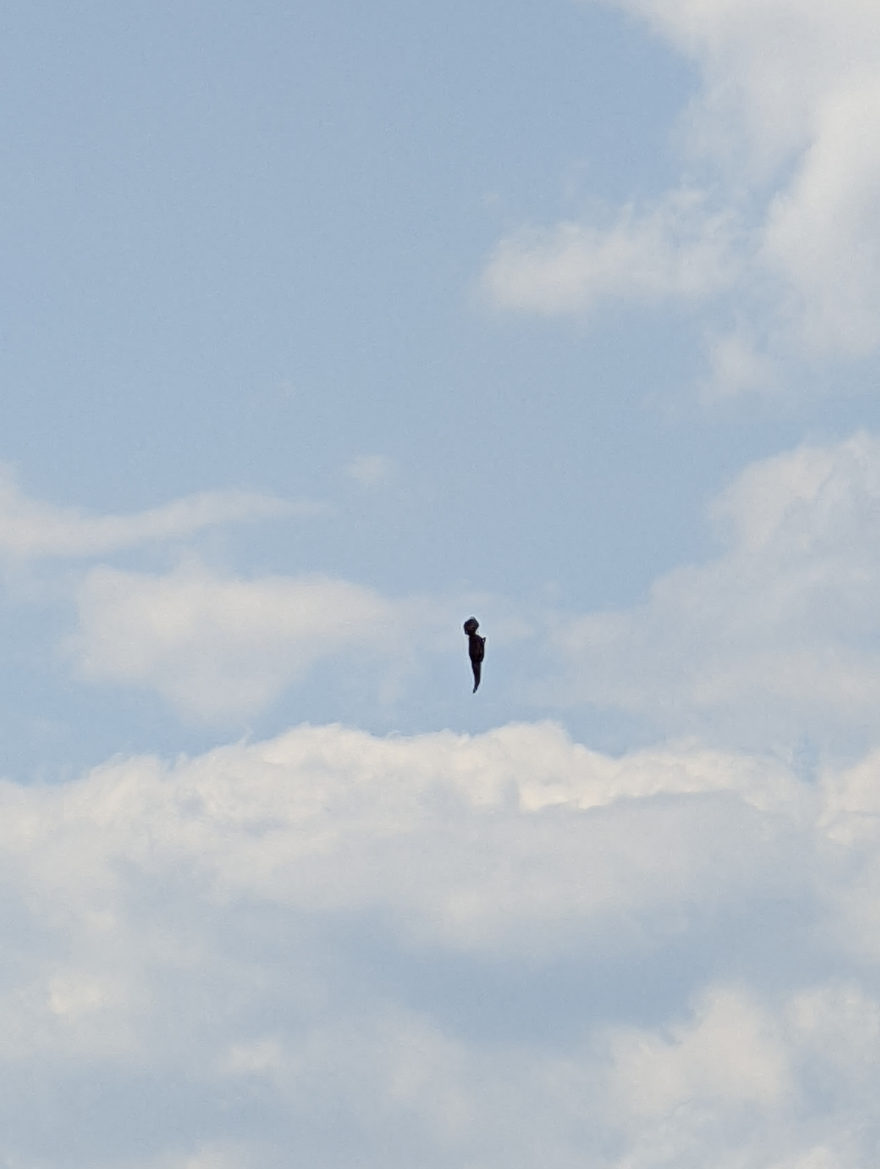 Image from report NUFORC_170393