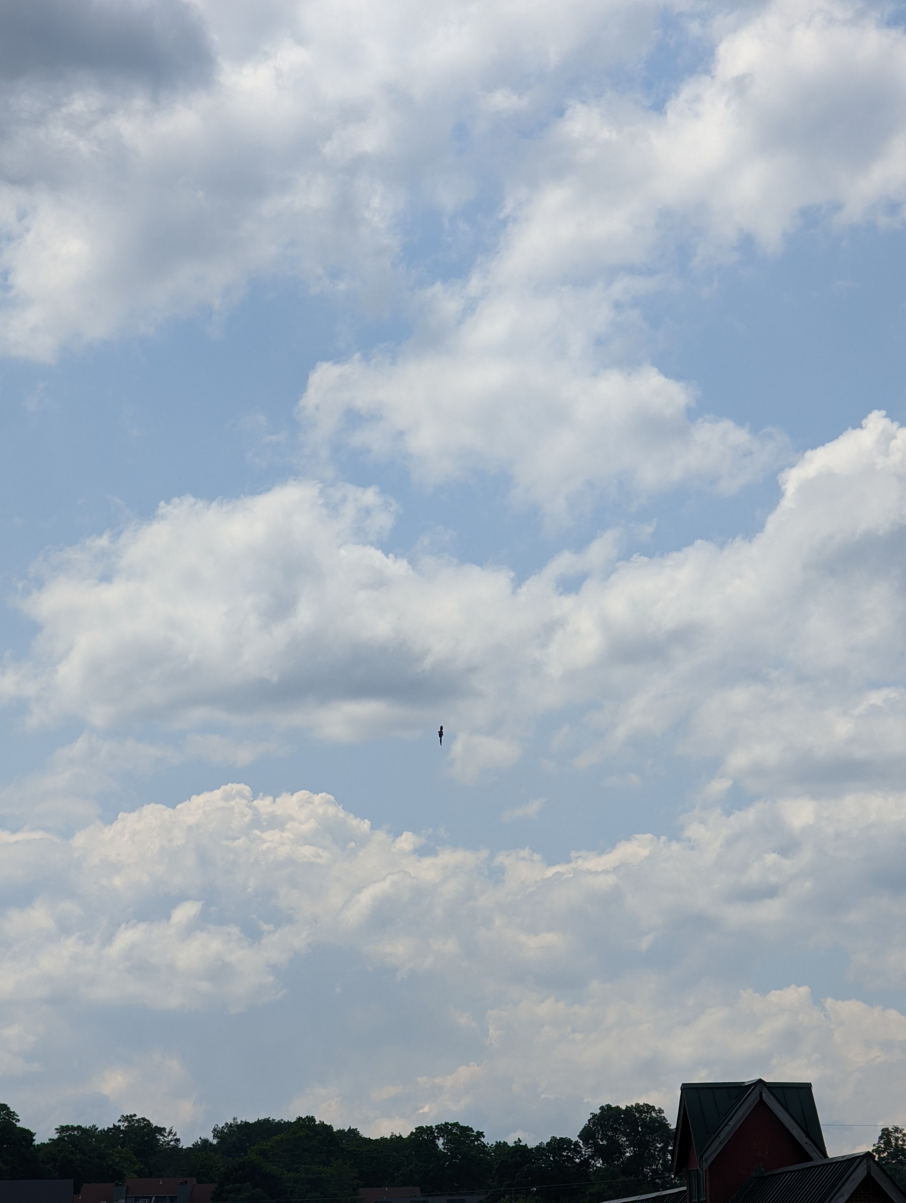 Image from report NUFORC_170393