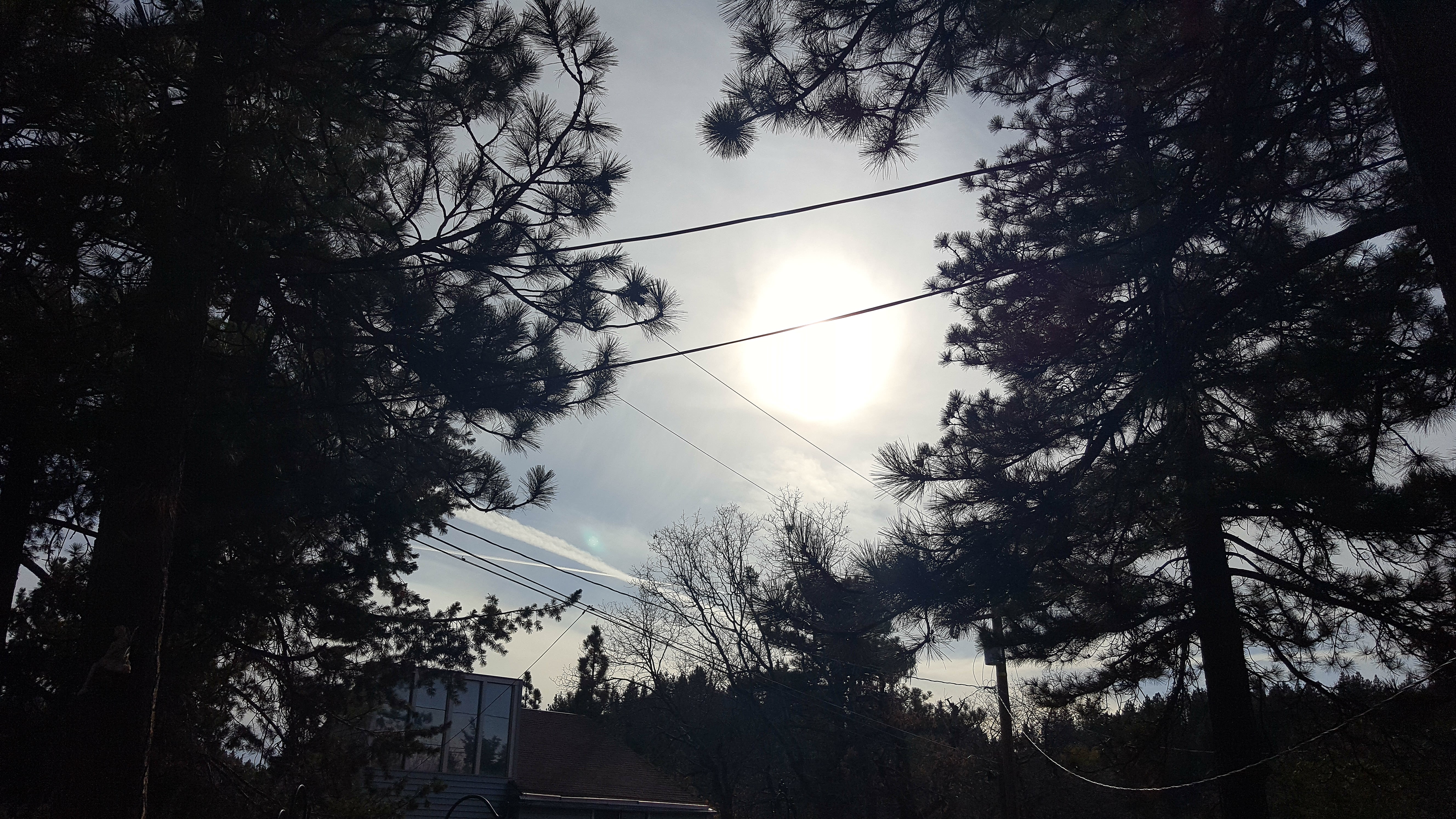 Image from report NUFORC_170535