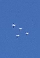 Image from report NUFORC_171477
