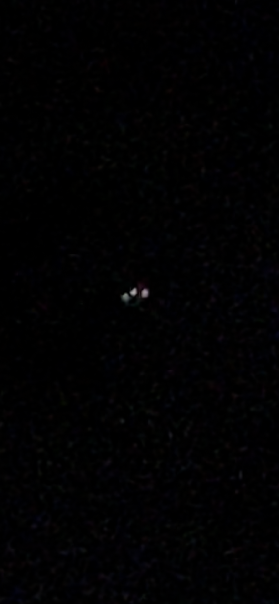 Image from report NUFORC_171513