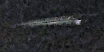 Image from report NUFORC_171596