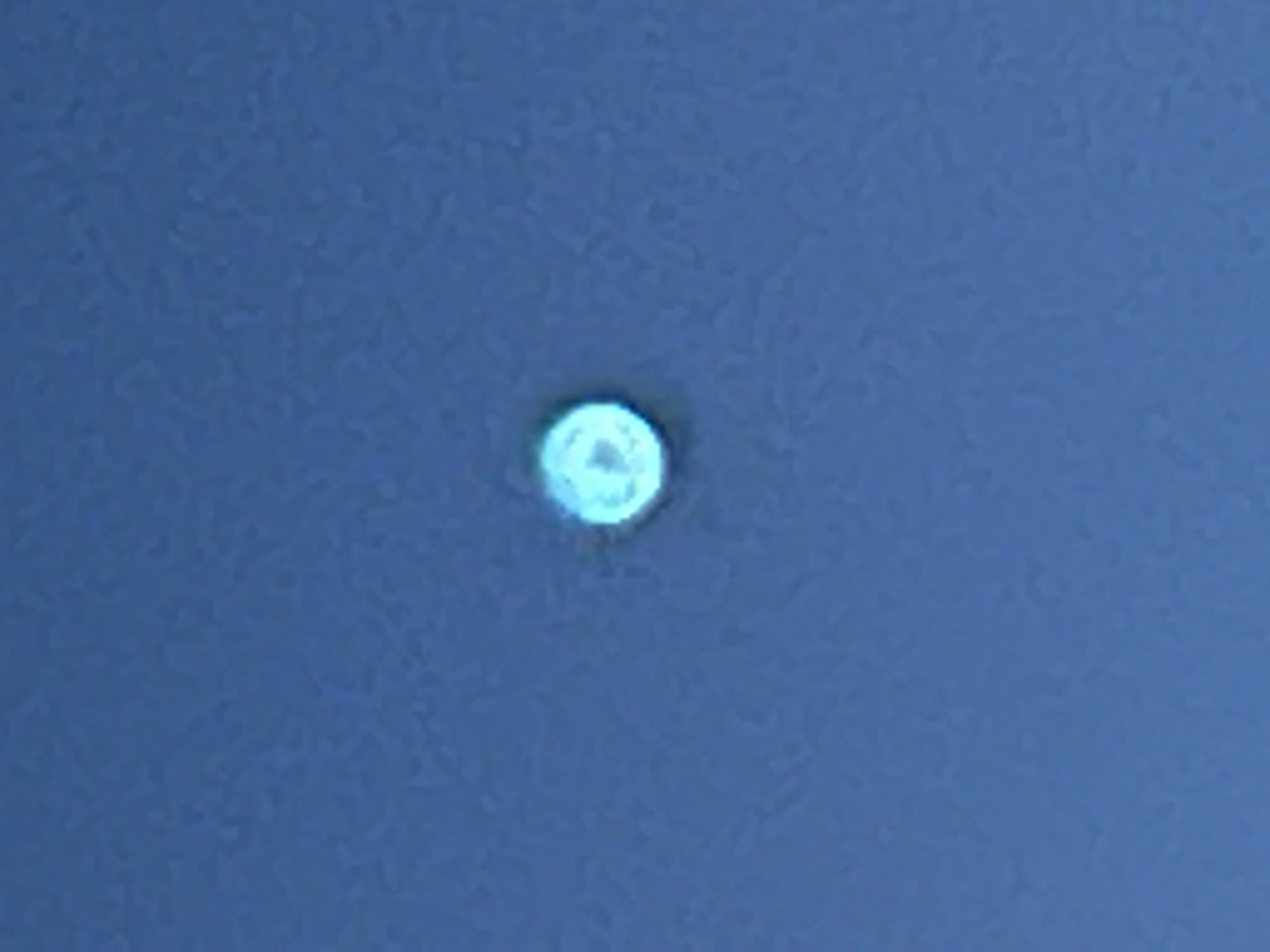 Image from report NUFORC_171613
