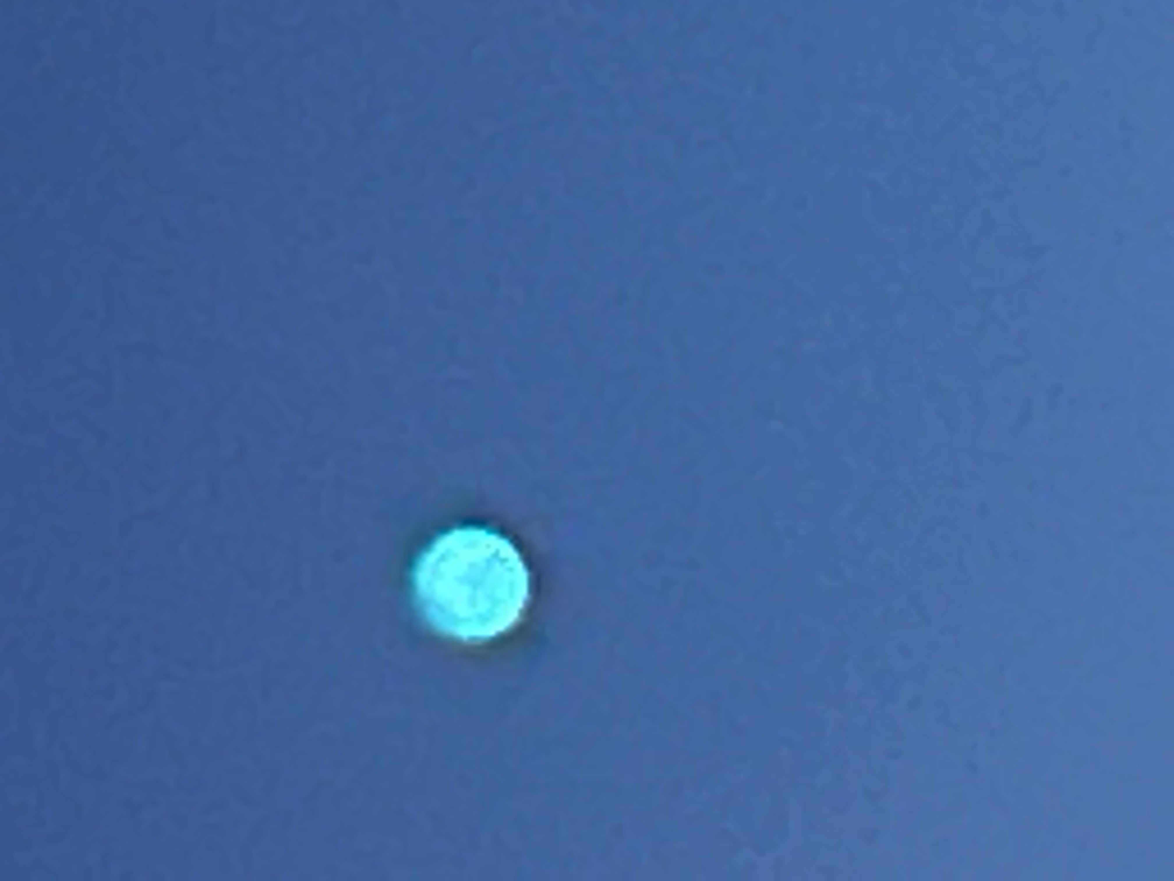Image from report NUFORC_171617