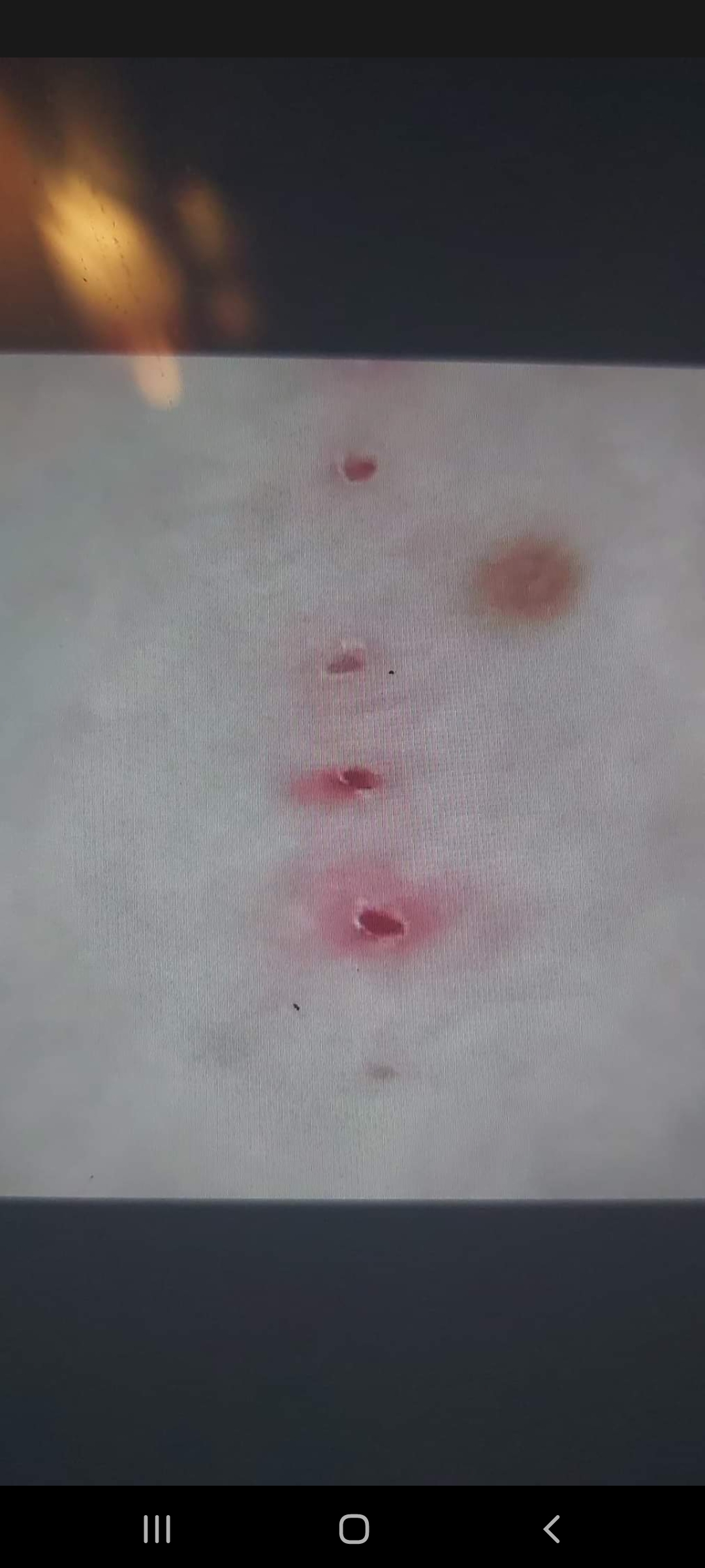 Image from report NUFORC_171640