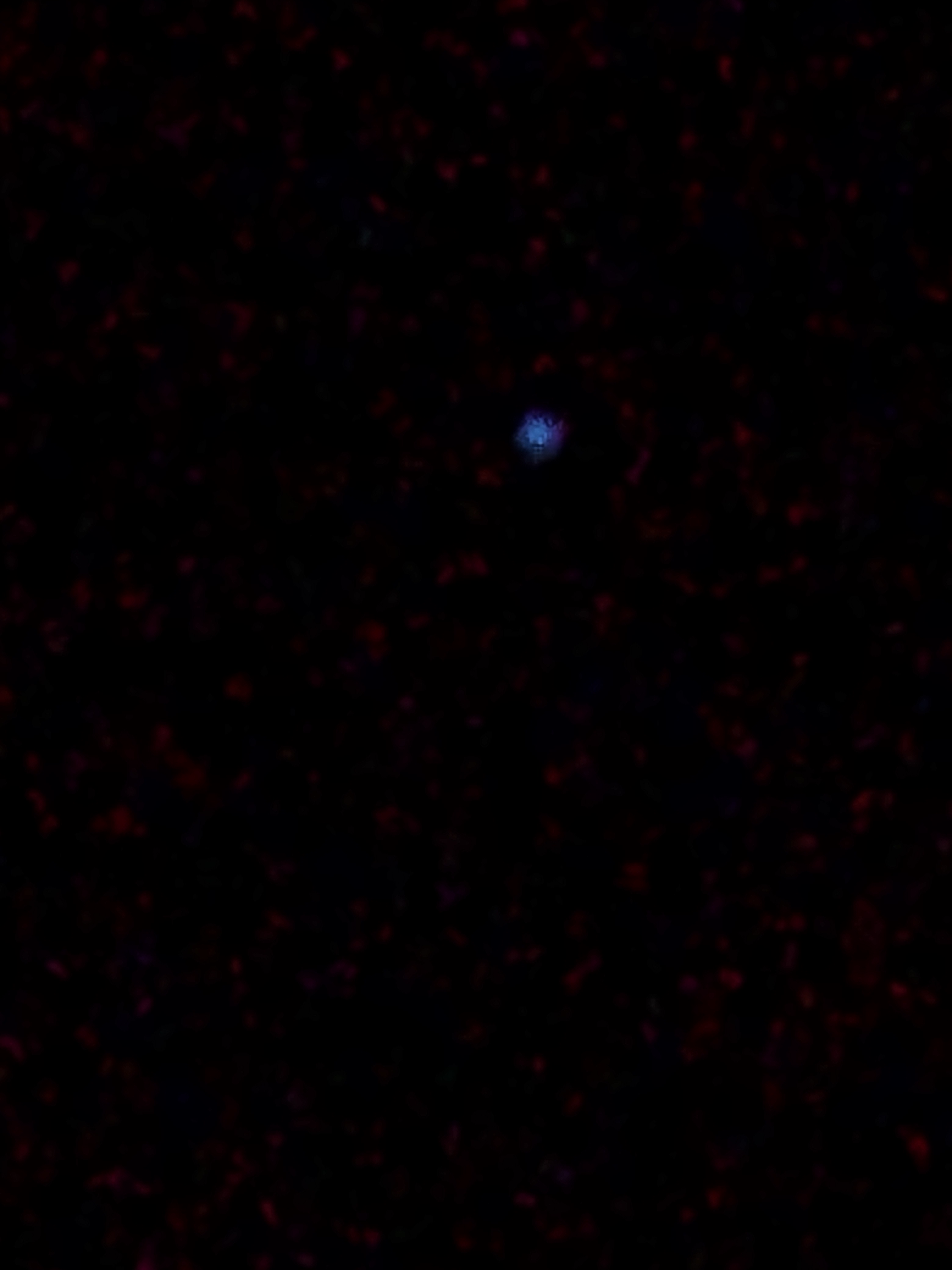 Image from report NUFORC_172174
