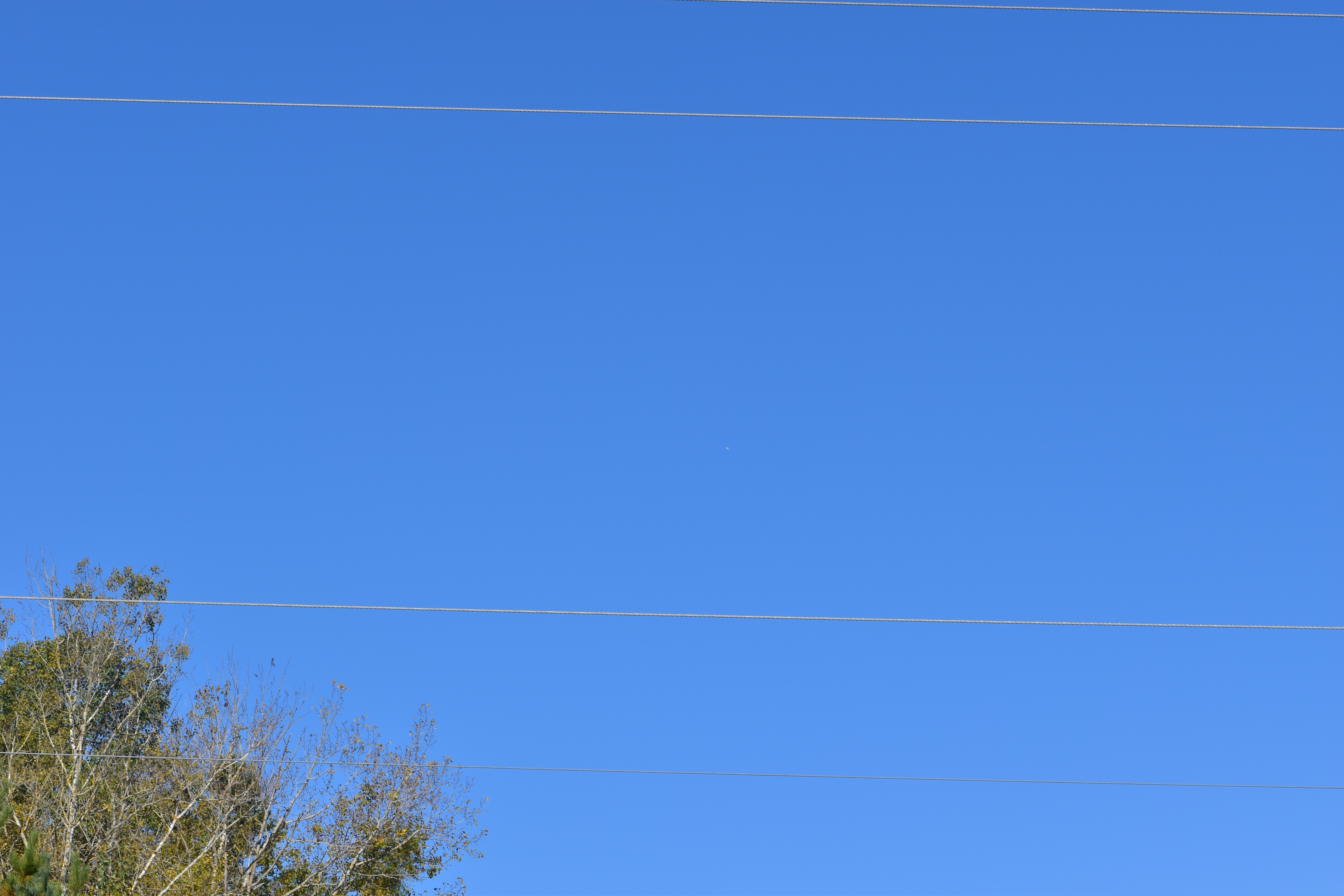 Image from report NUFORC_172262