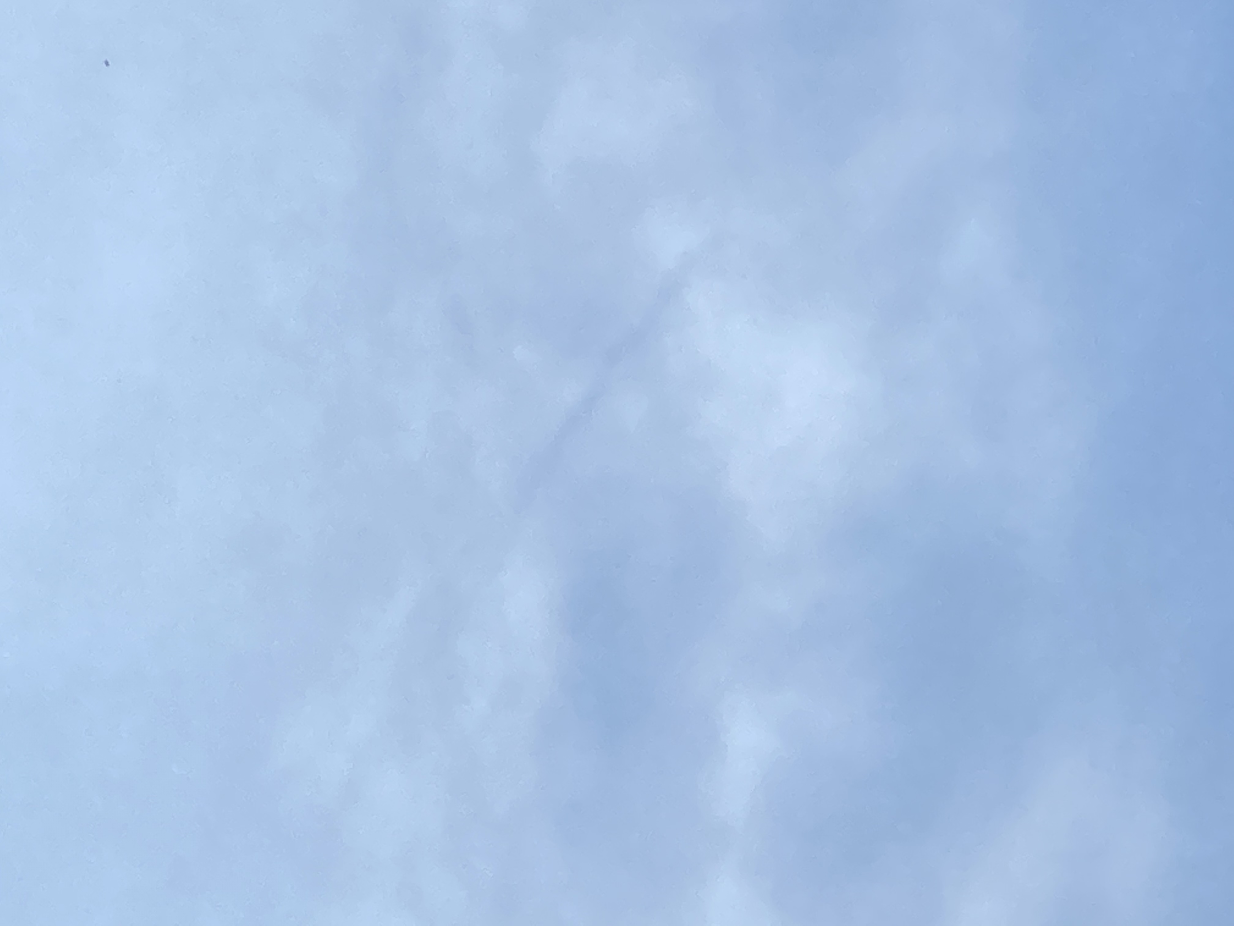 Image from report NUFORC_172560