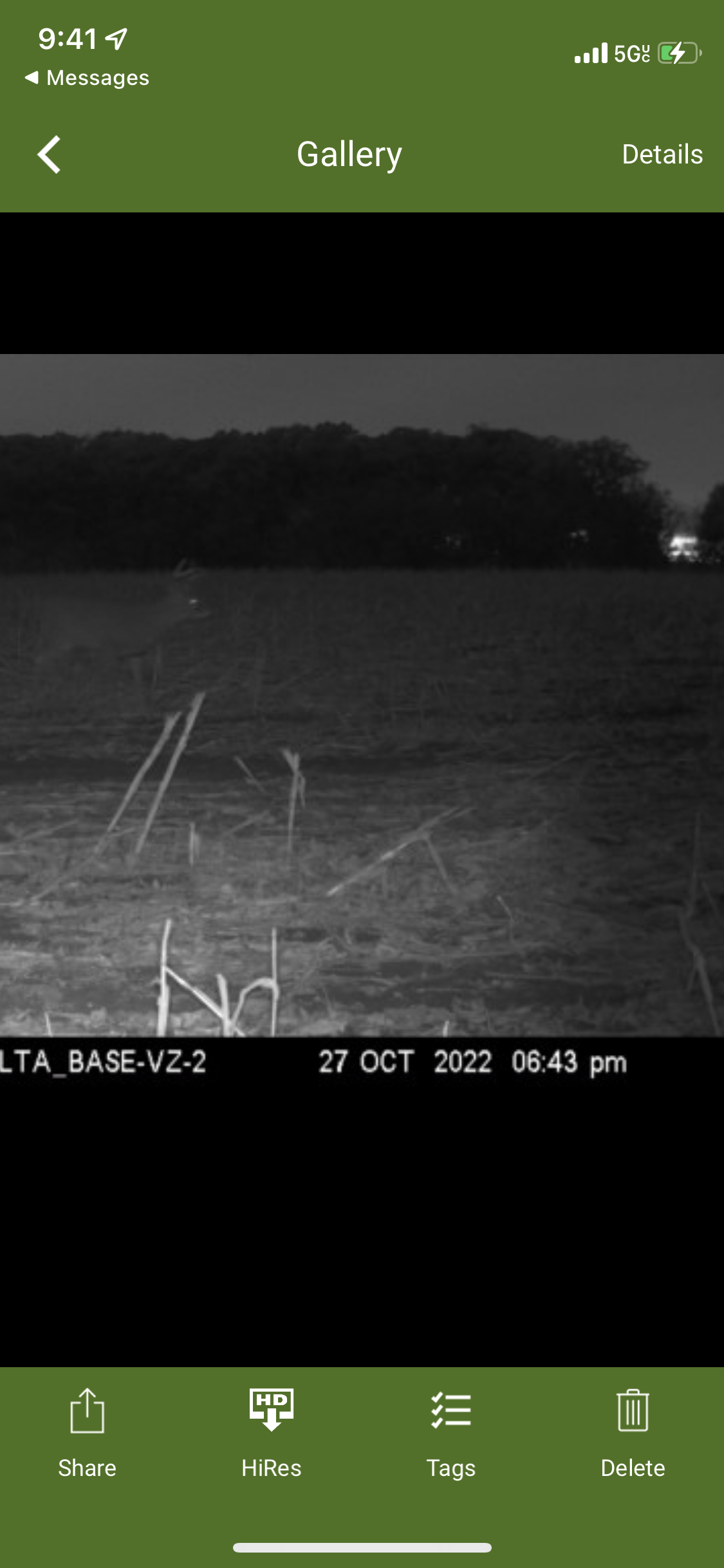 Image from report NUFORC_172583
