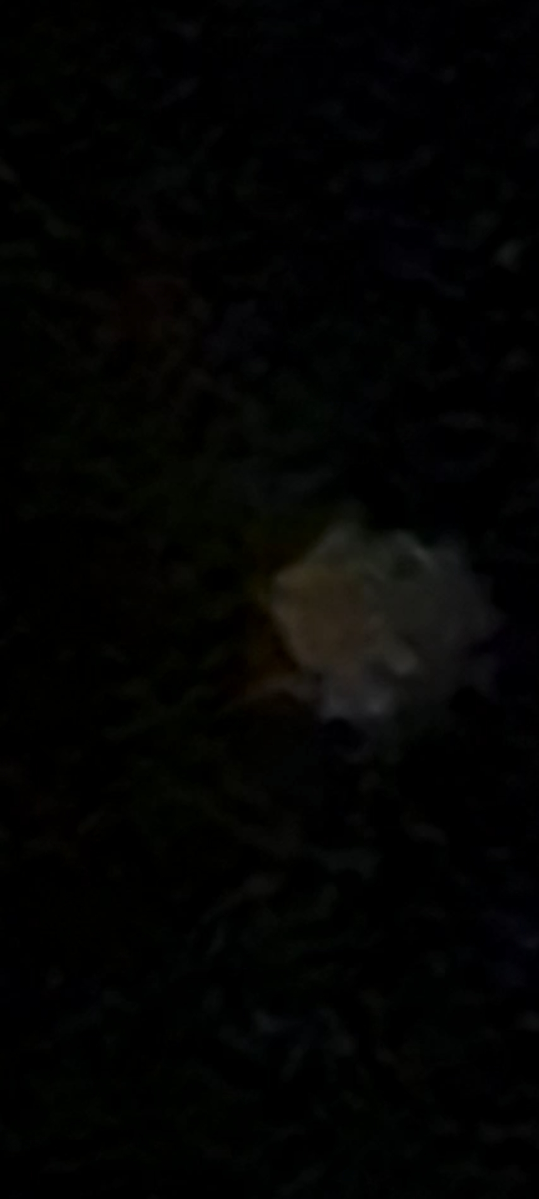 Image from report NUFORC_172763