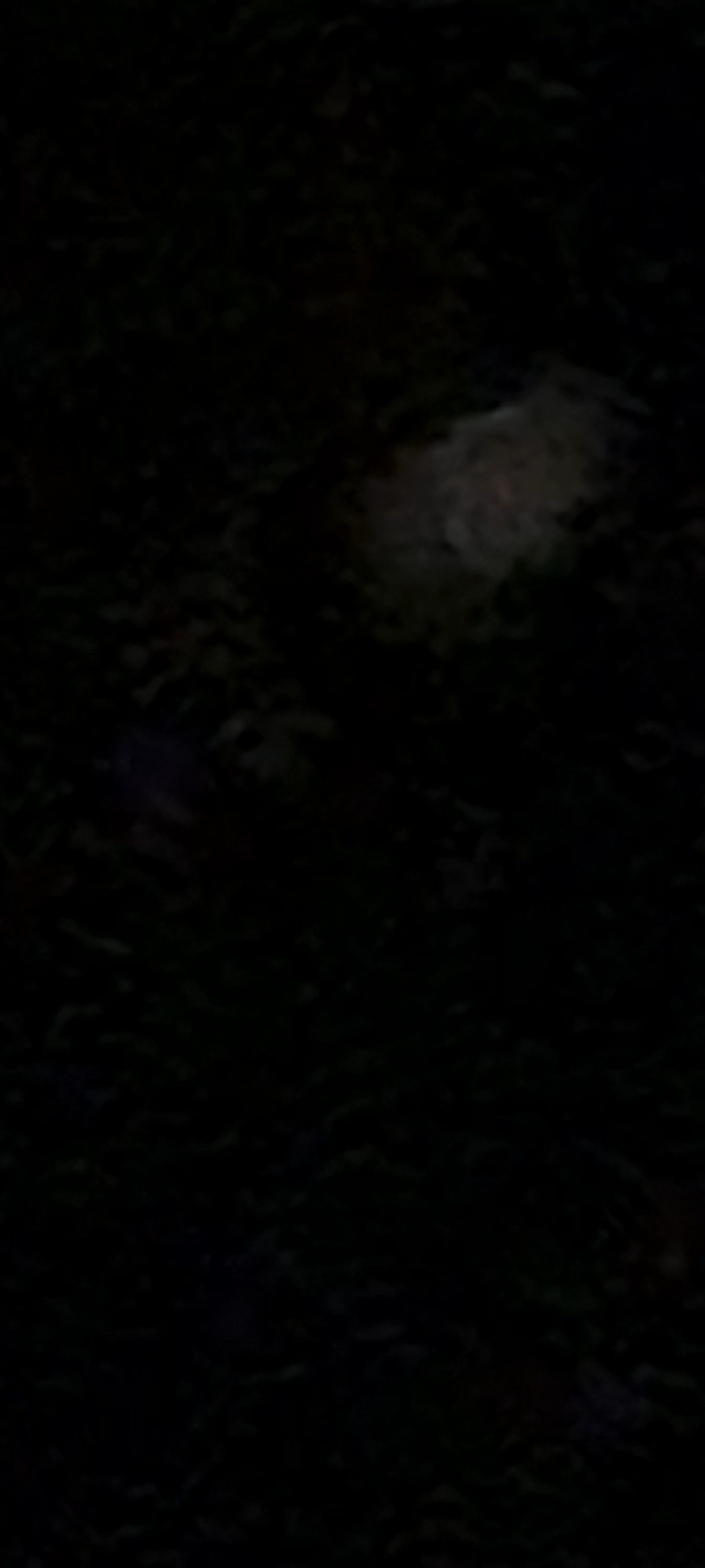 Image from report NUFORC_172763