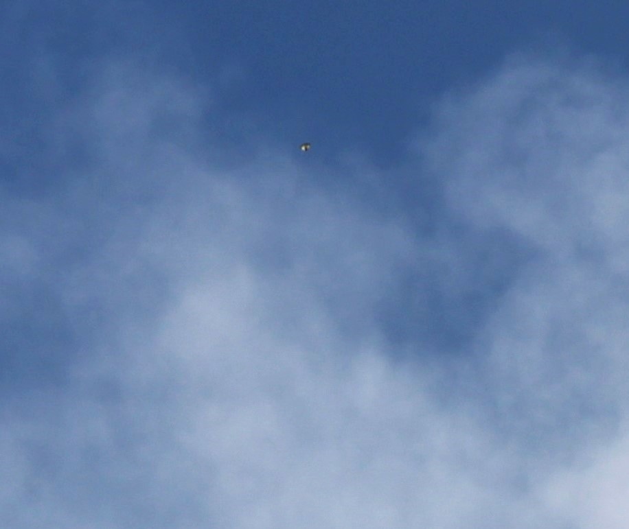 Image from report NUFORC_172979