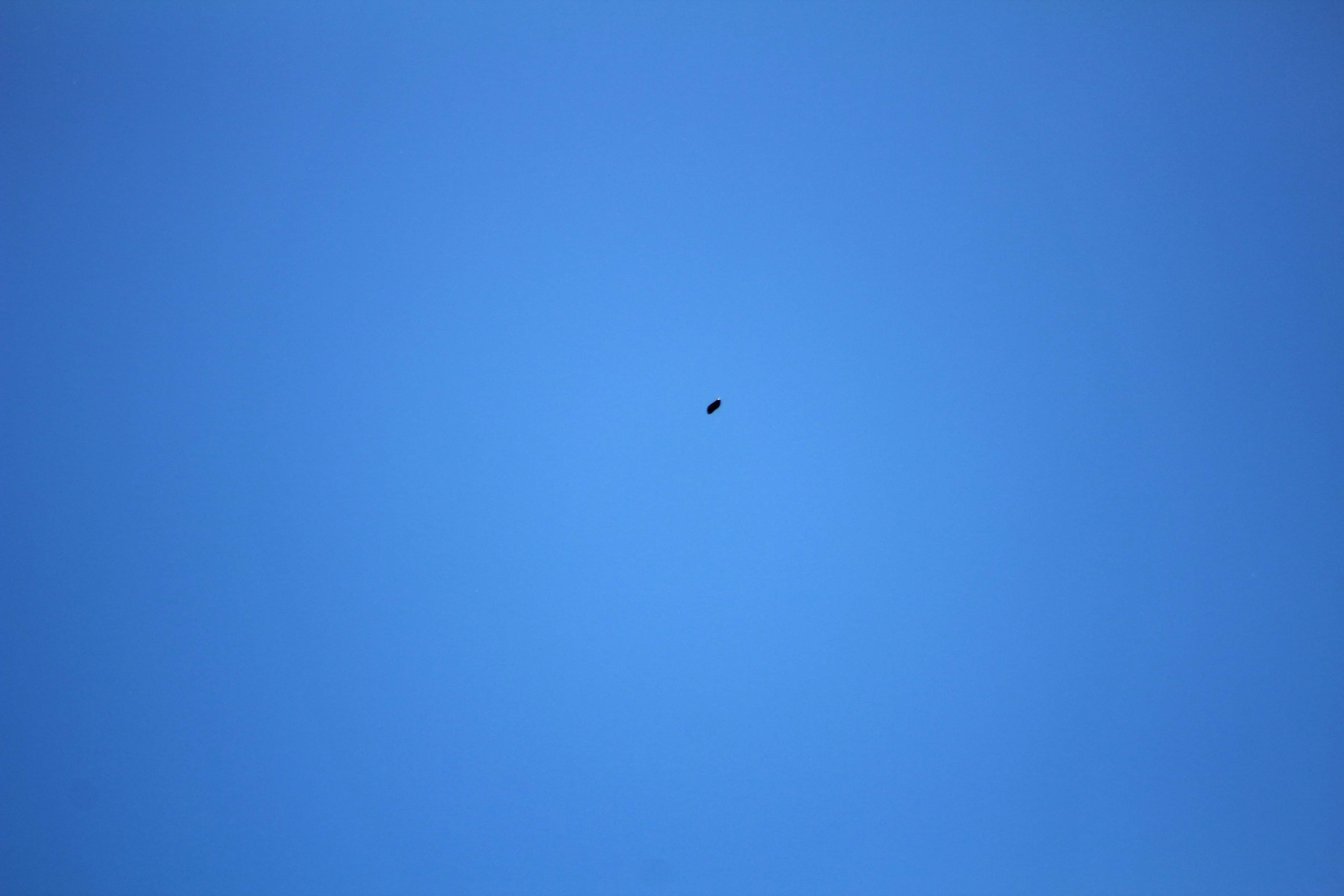 Image from report NUFORC_173021