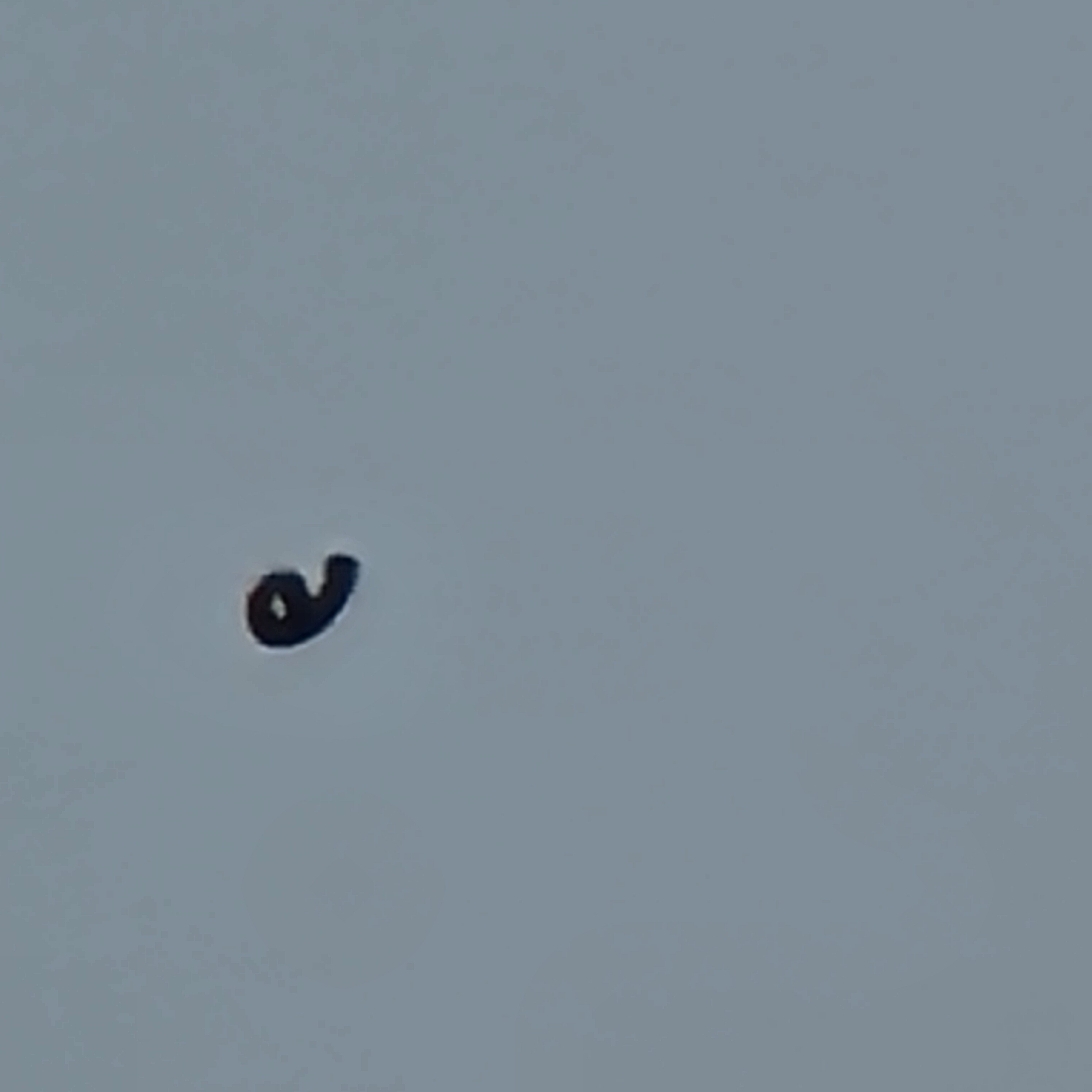 Image from report NUFORC_173023